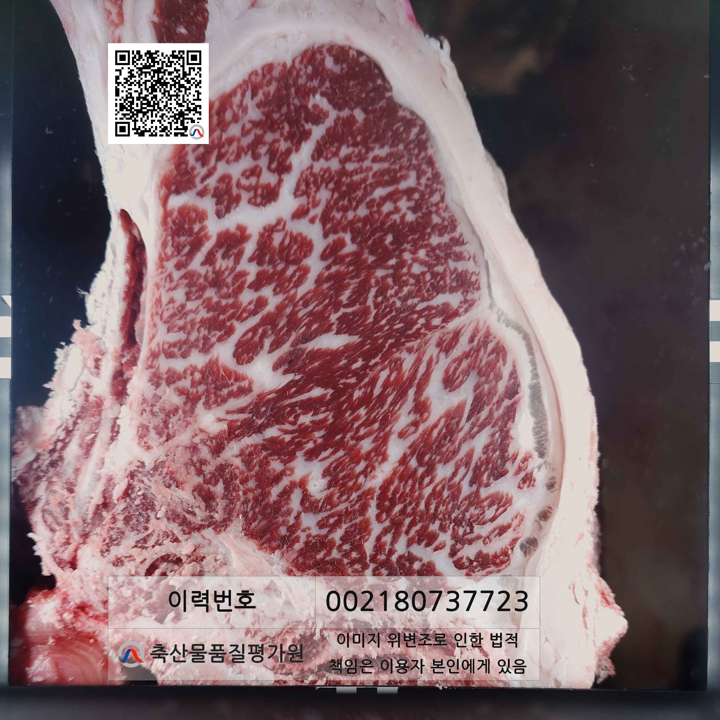 등심단면적 사진