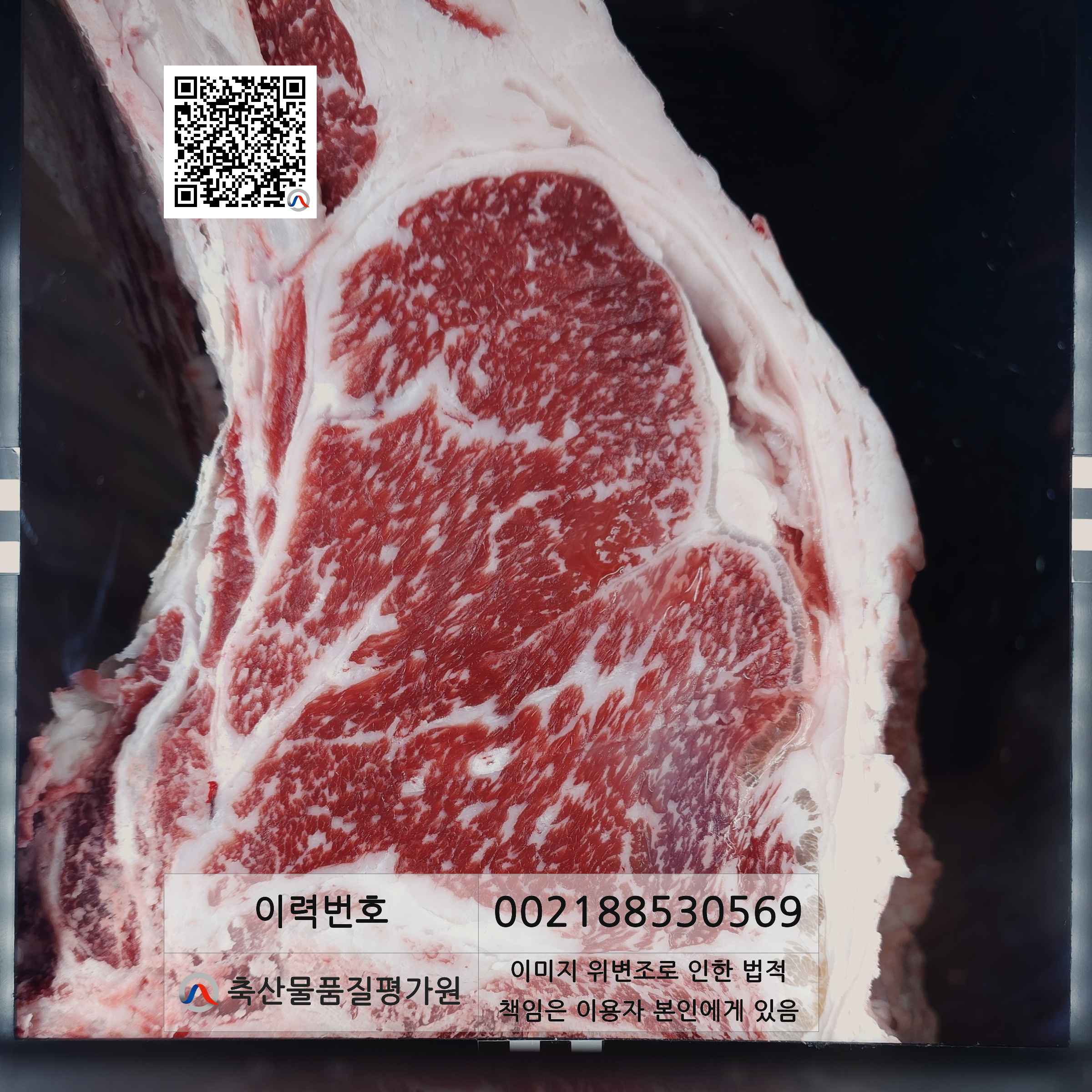 등심단면적 사진
