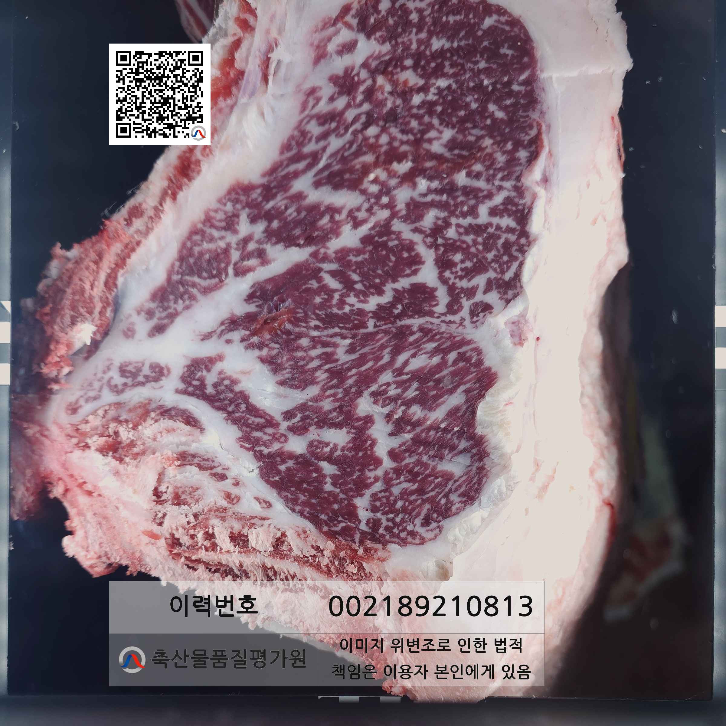 등심단면적 사진
