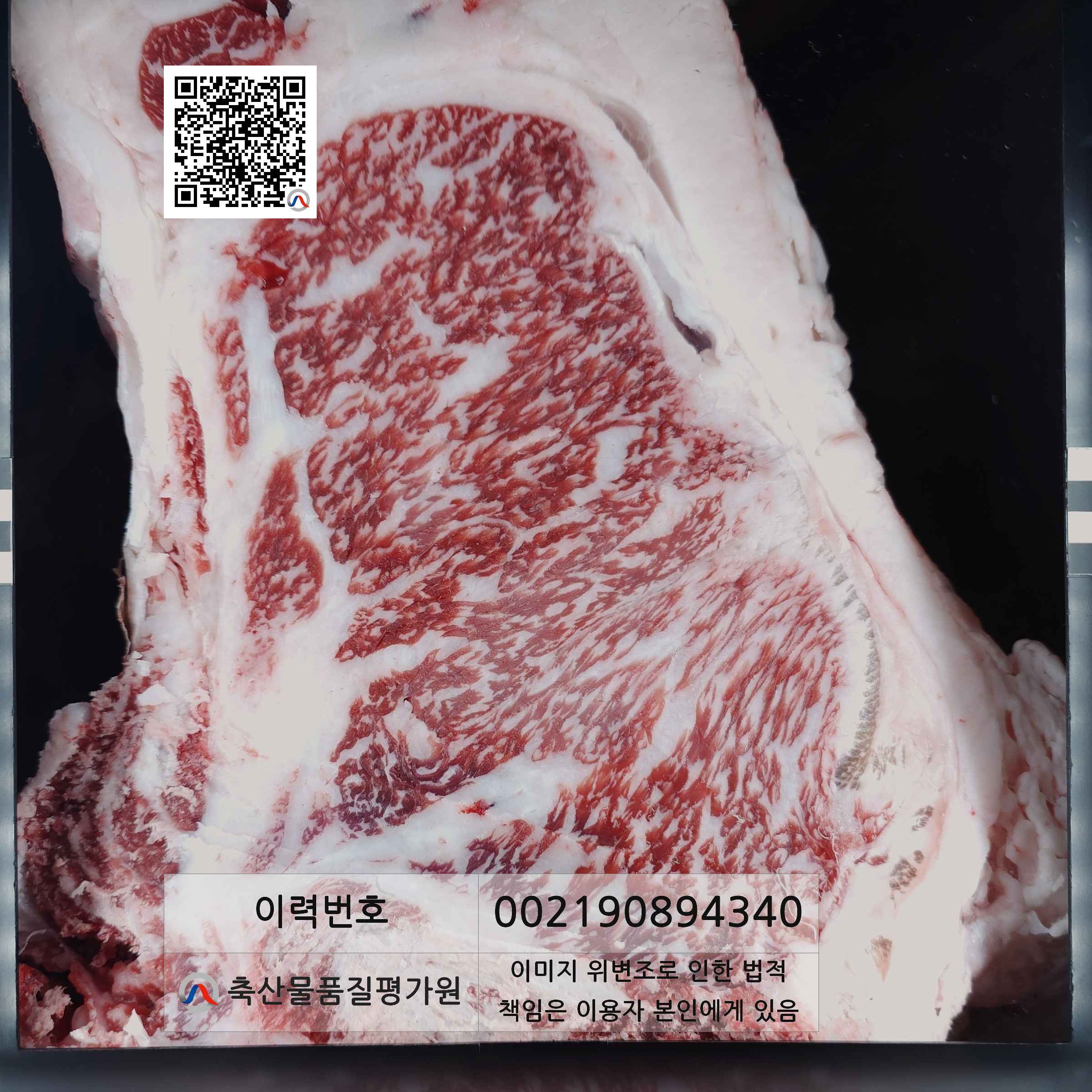 등심단면적 사진