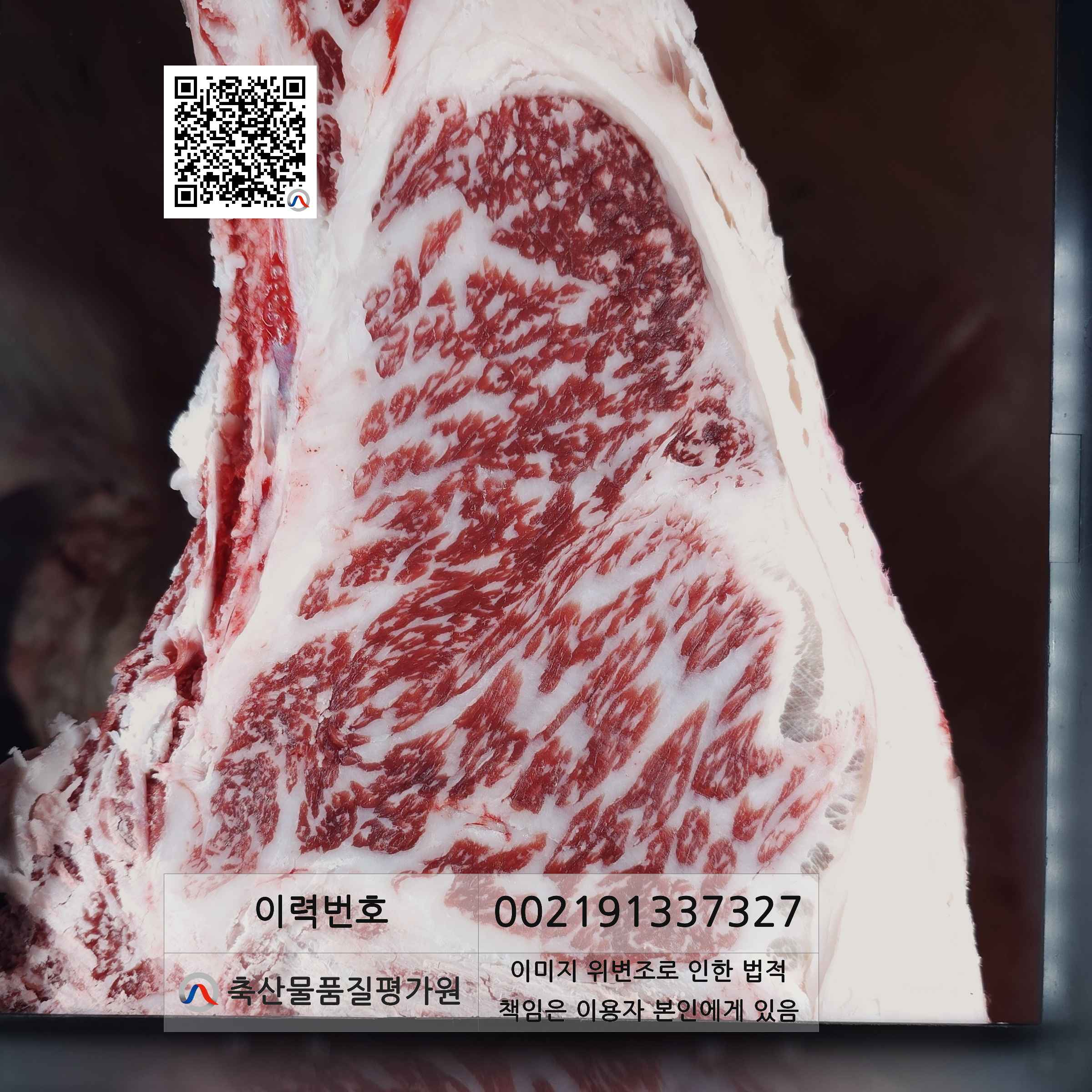 등심단면적 사진