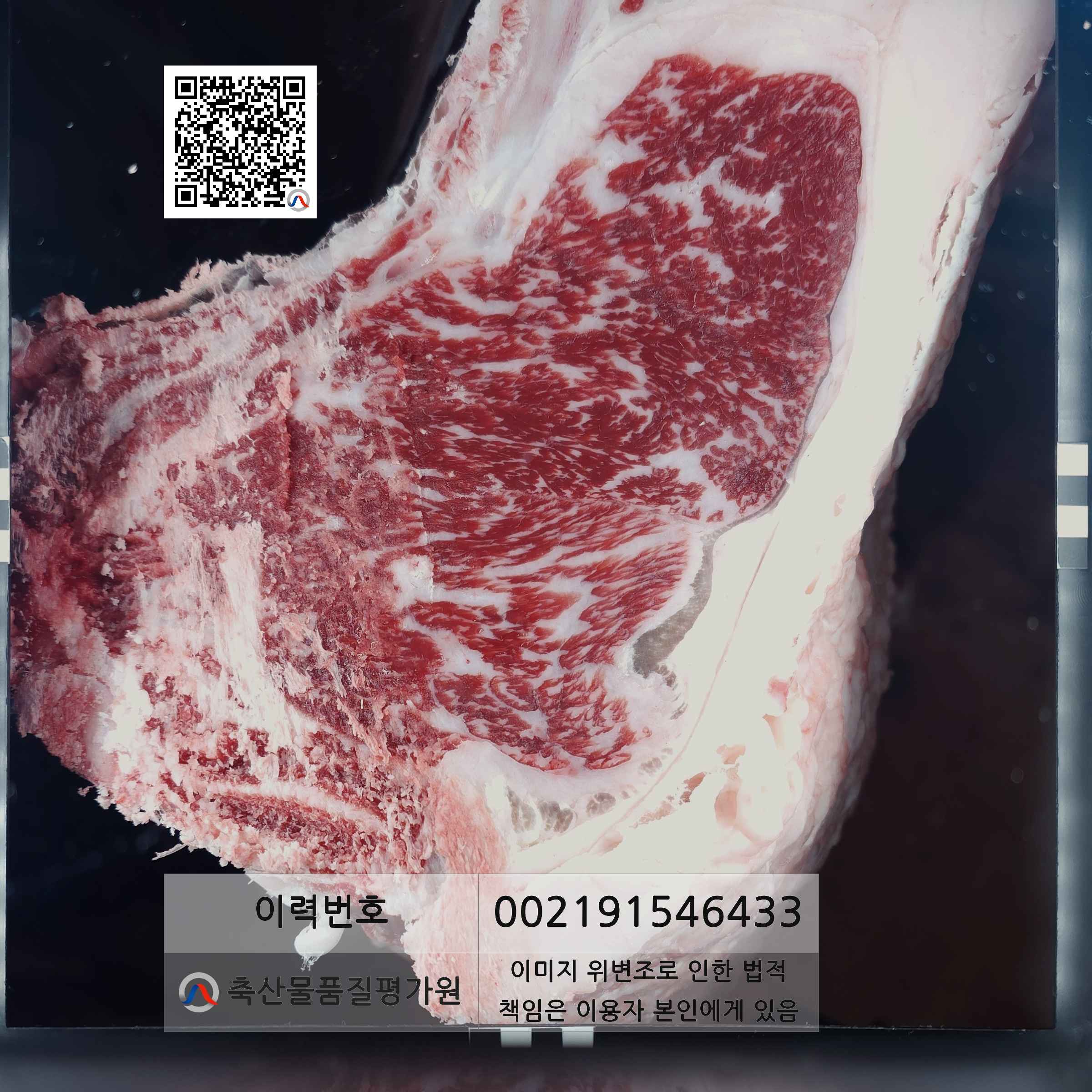 등심단면적 사진