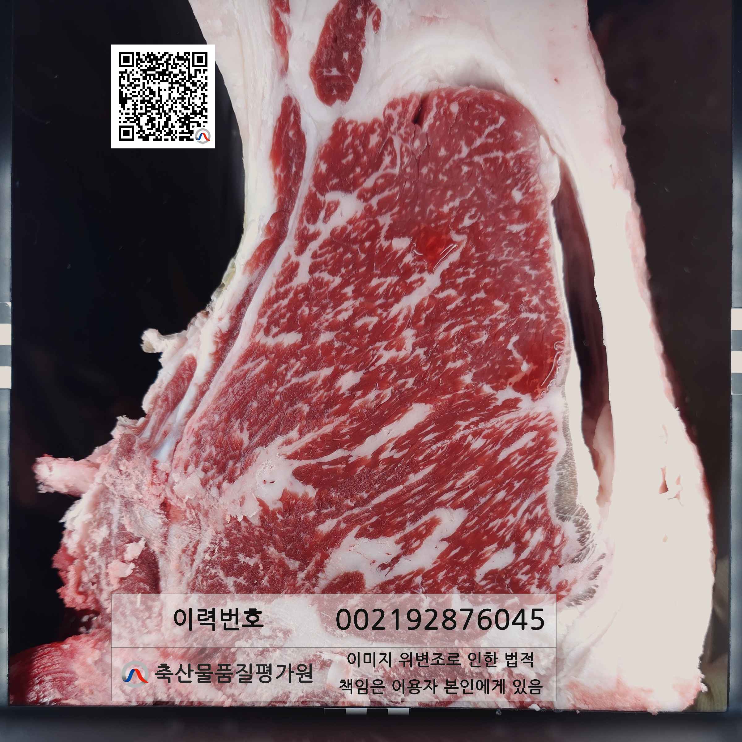 등심단면적 사진