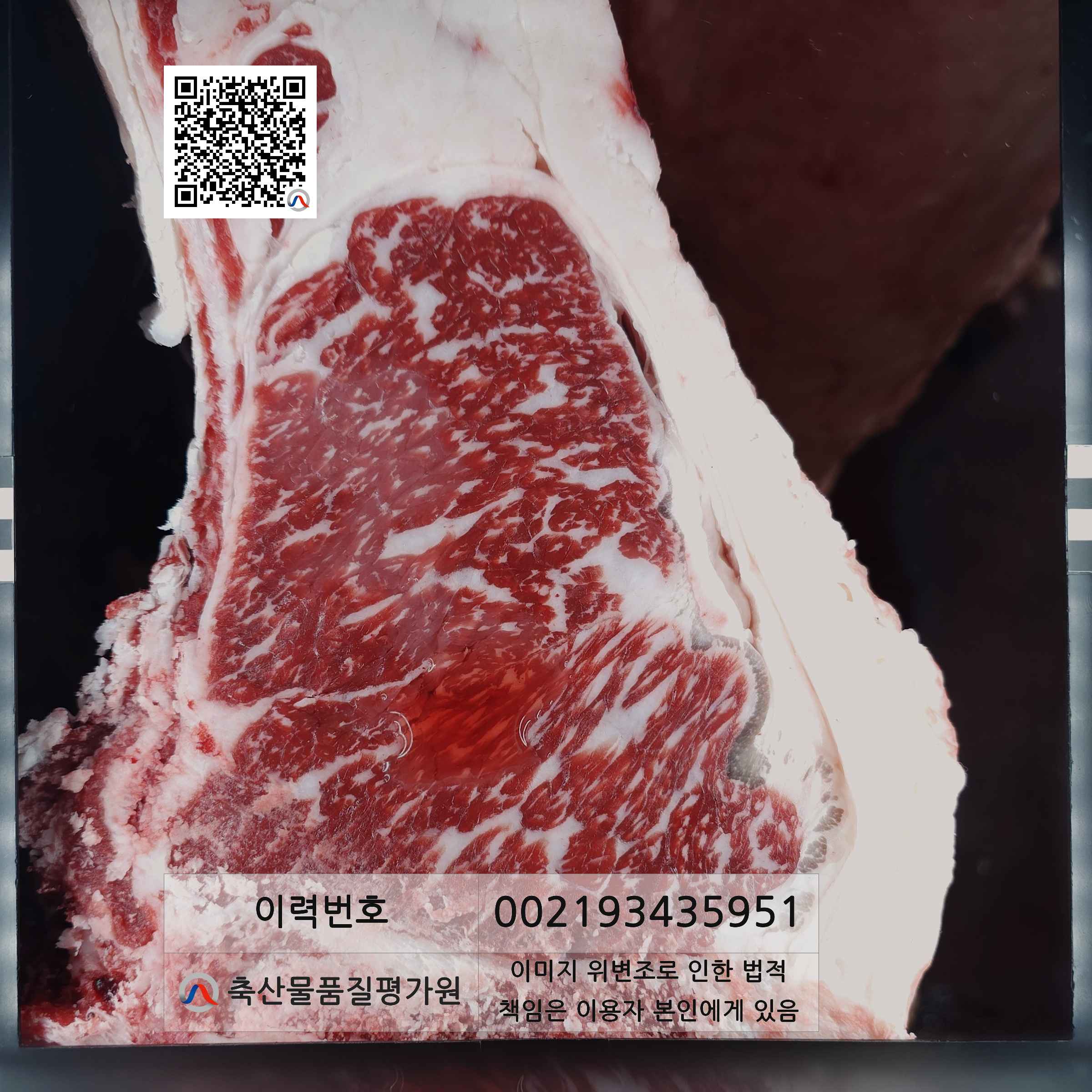 등심단면적 사진