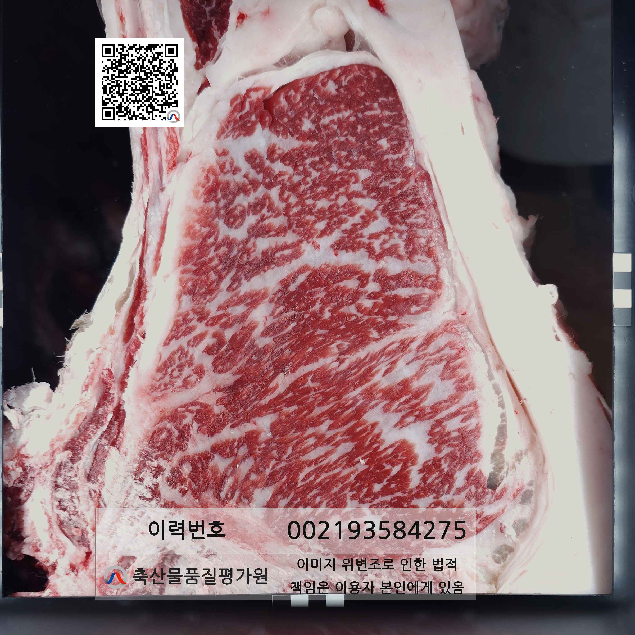 등심단면적 사진