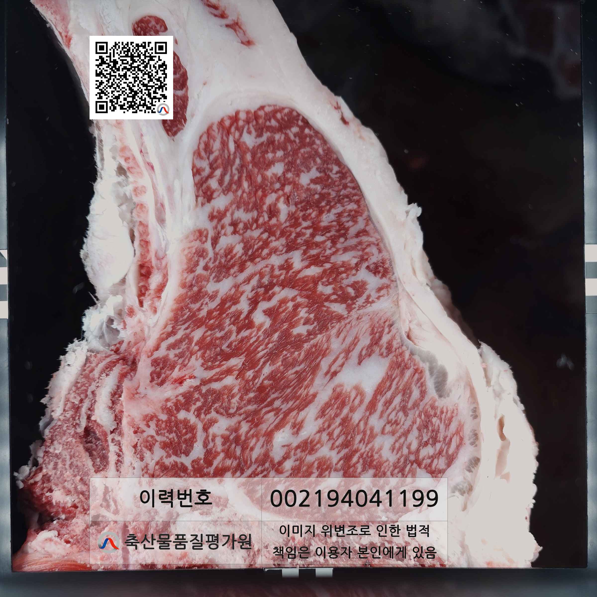 등심단면적 사진