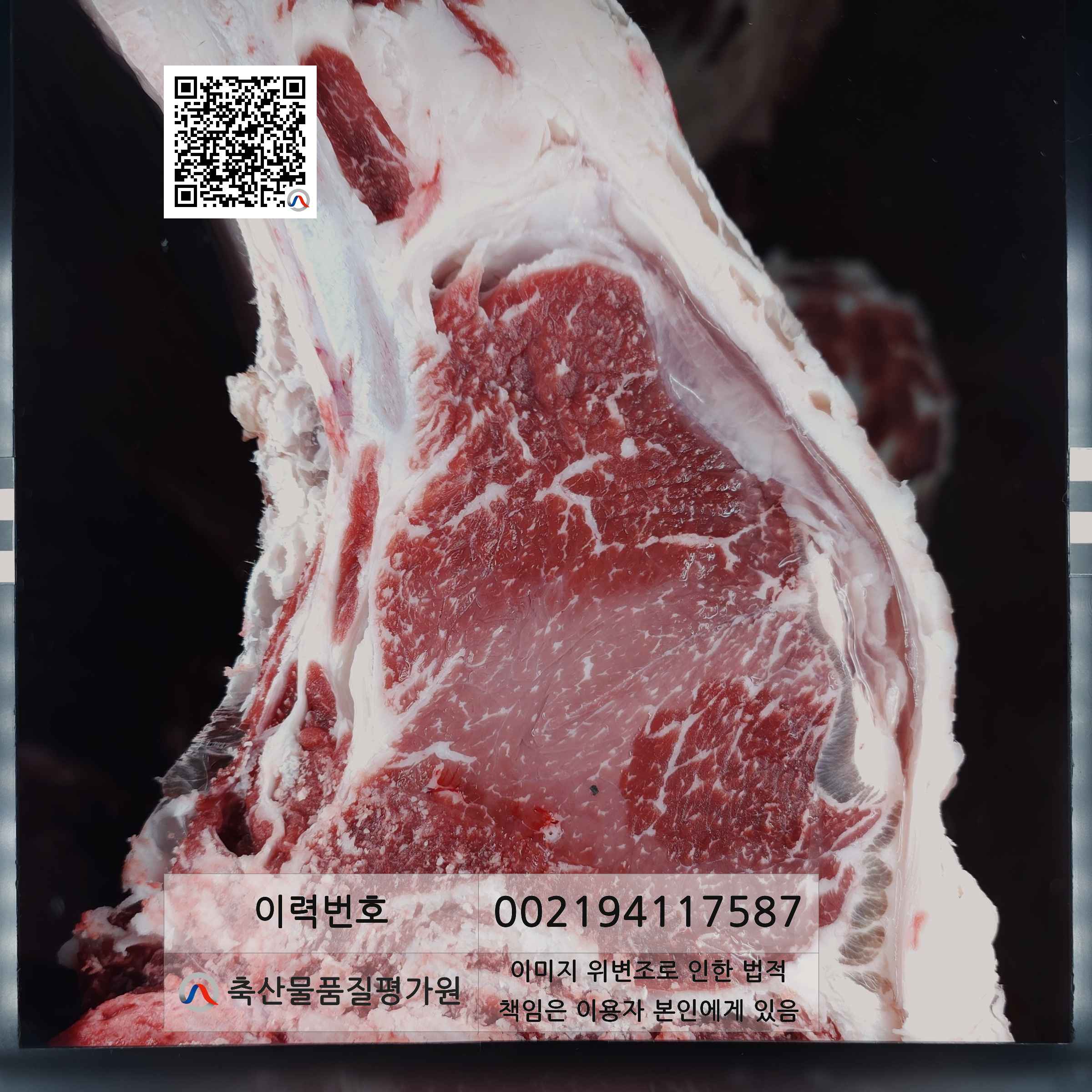 등심단면적 사진