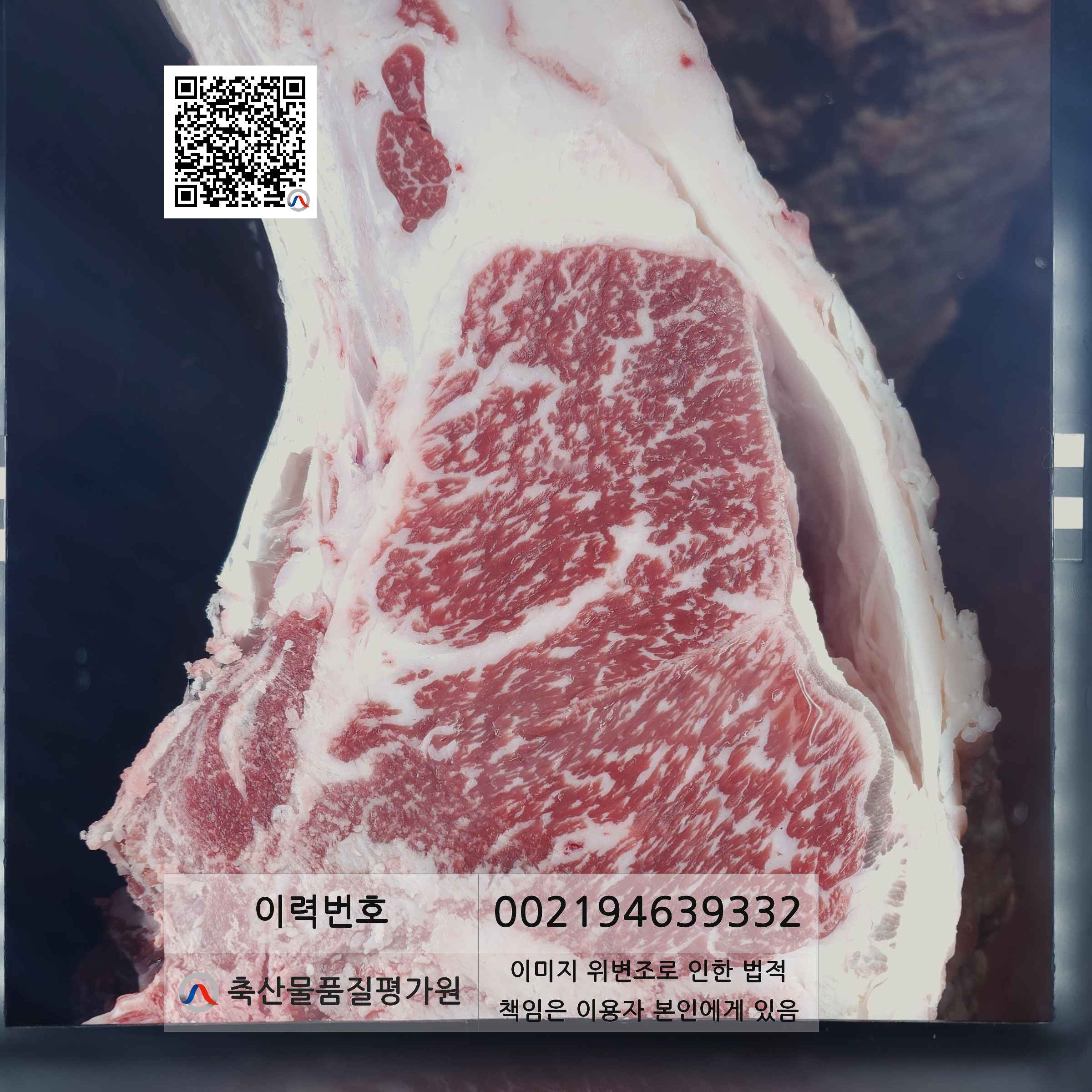 등심단면적 사진