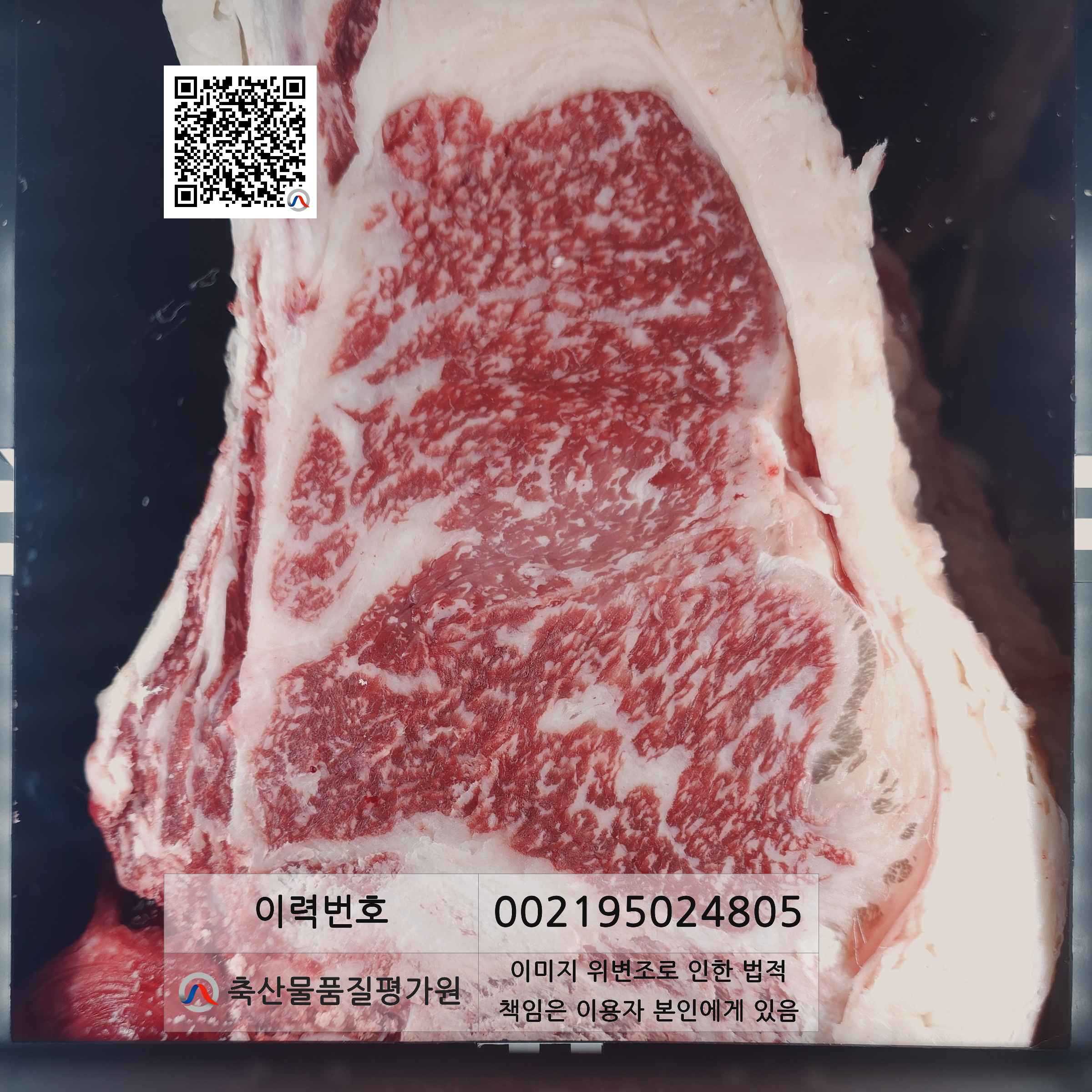 등심단면적 사진