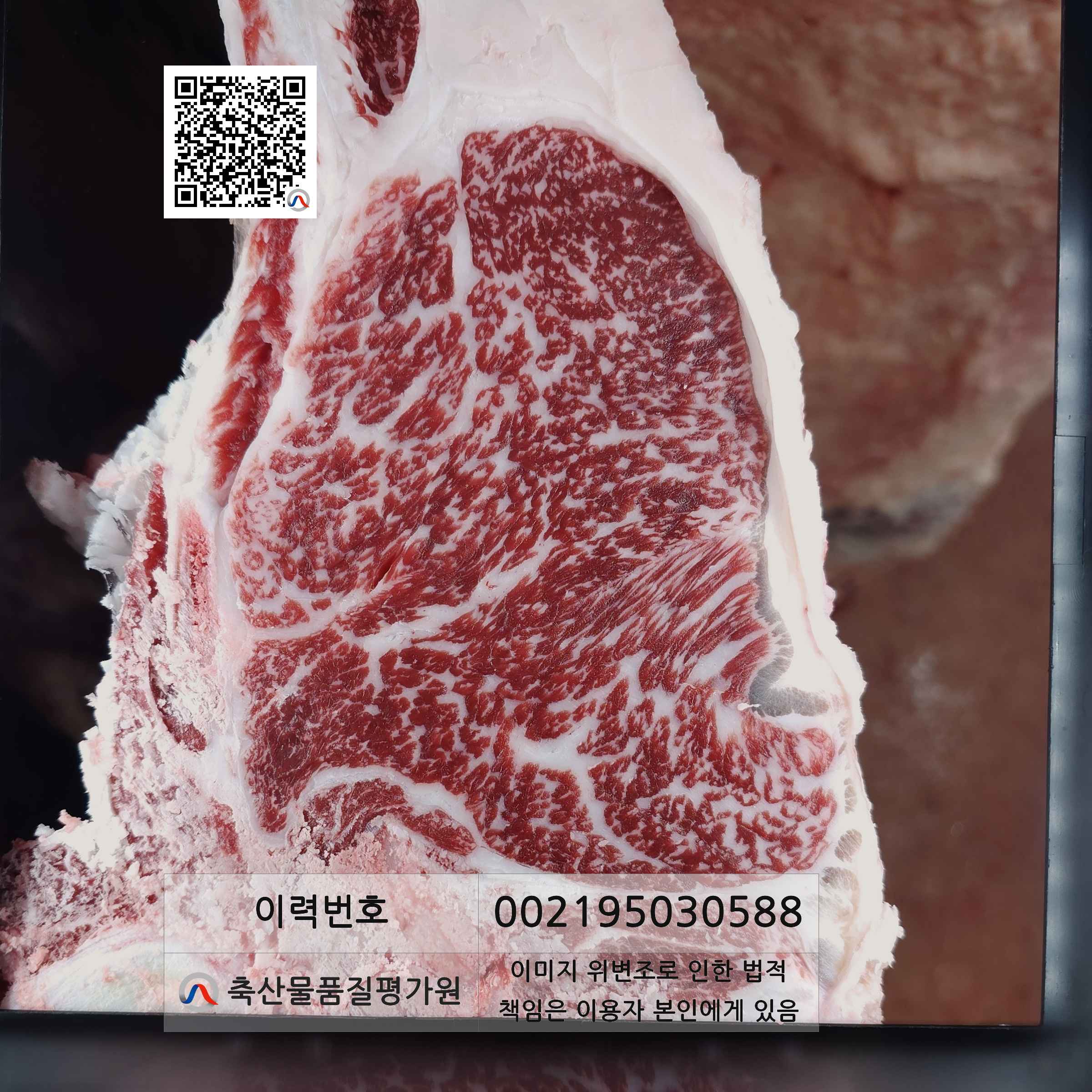 등심단면적 사진