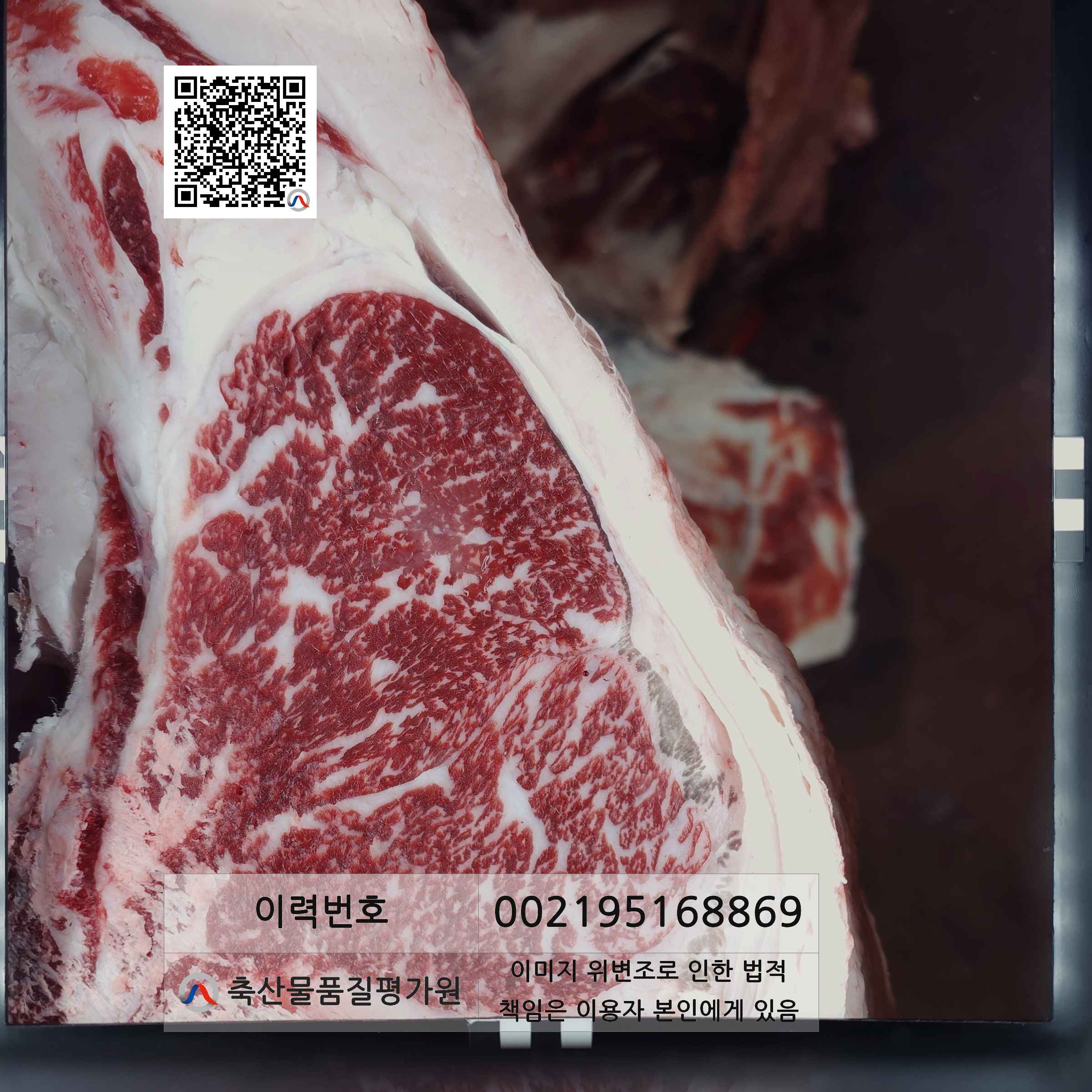 등심단면적 사진