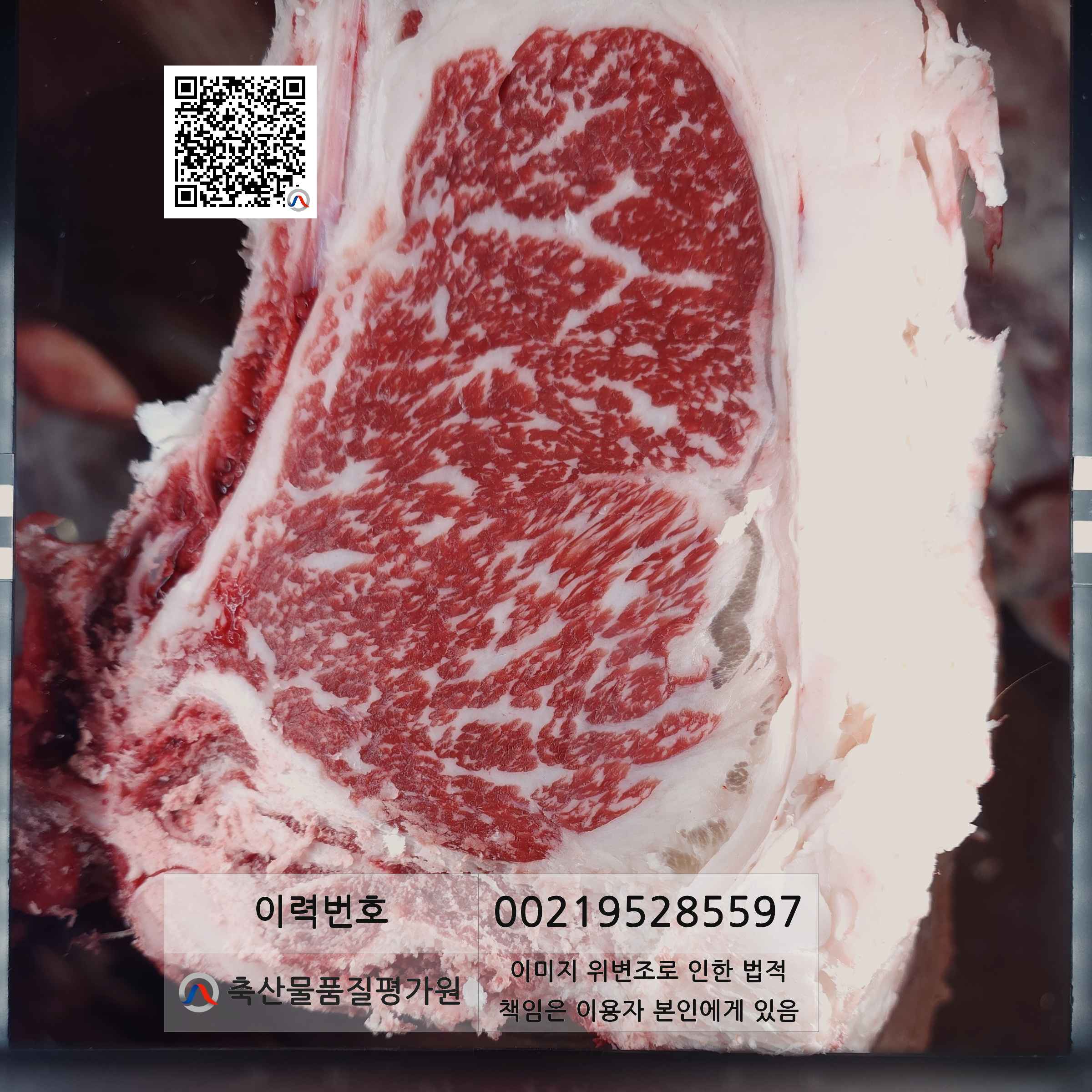 등심단면적 사진