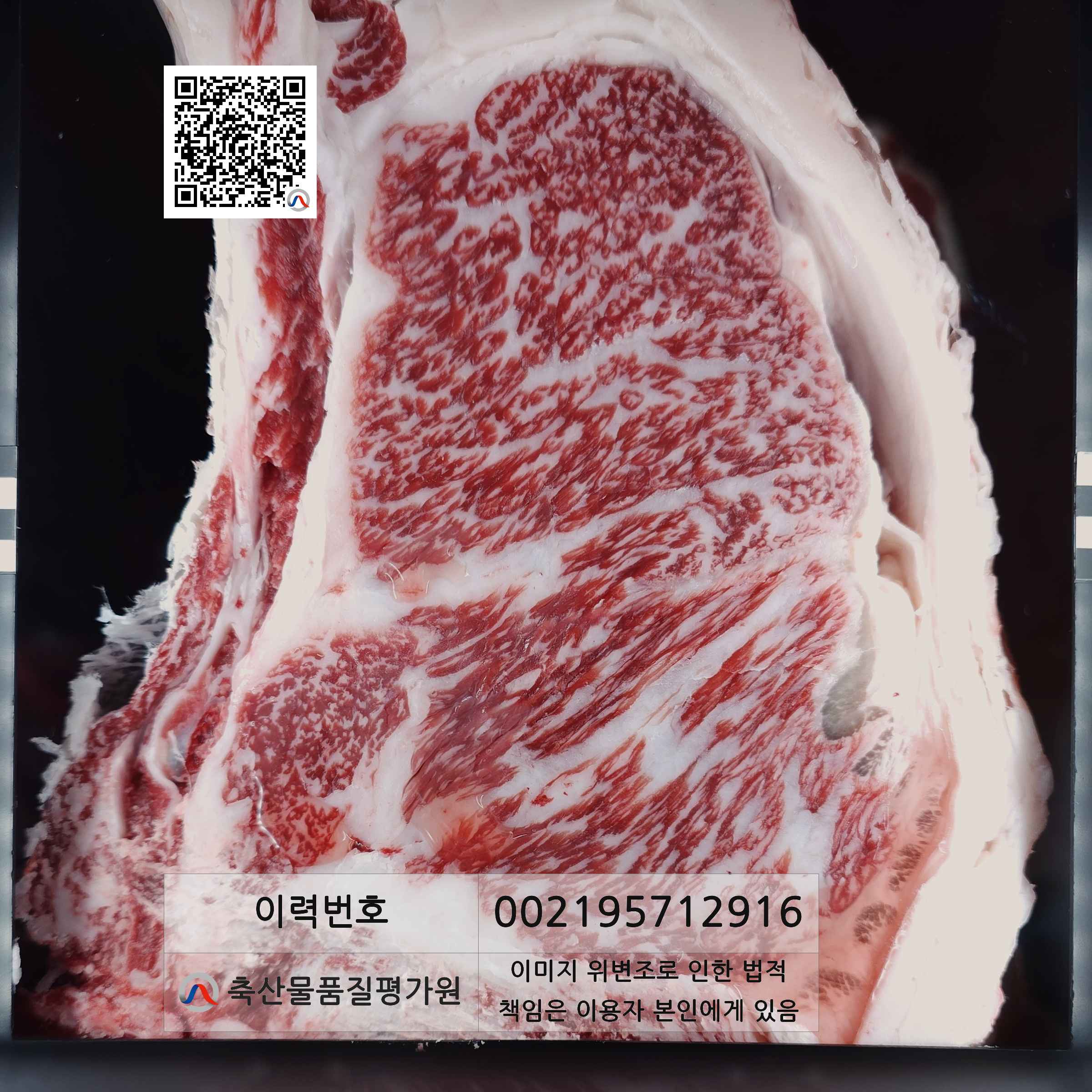 등심단면적 사진