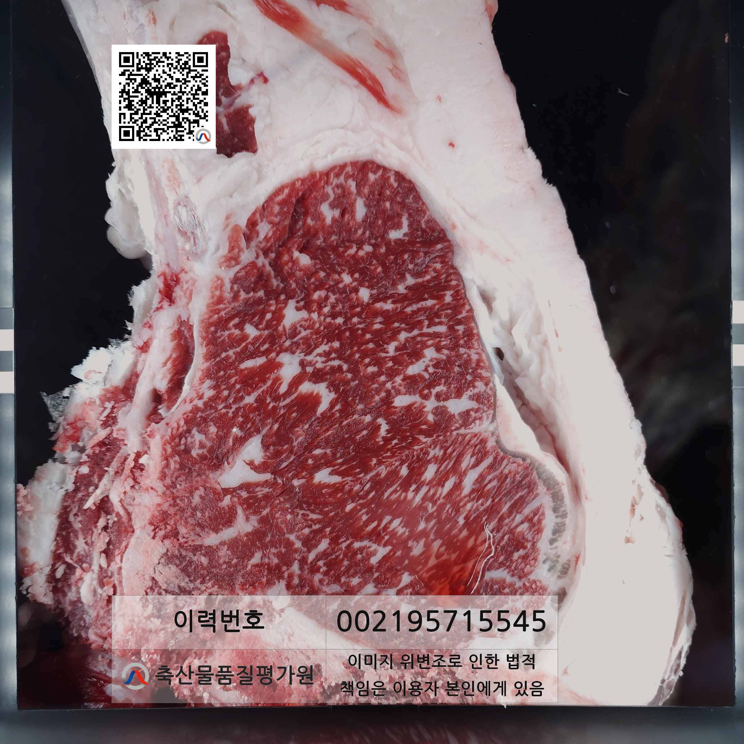 등심단면적 사진