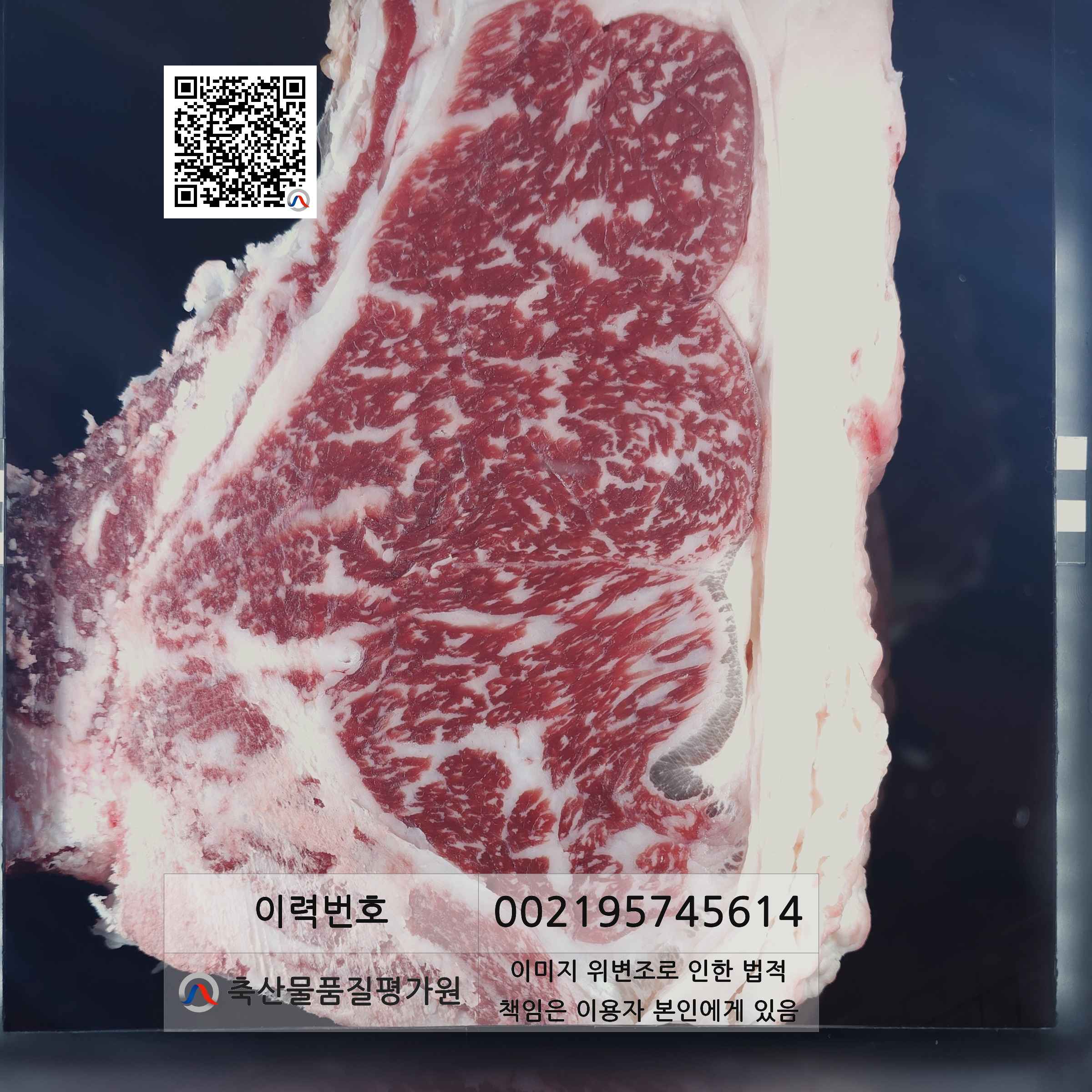 등심단면적 사진