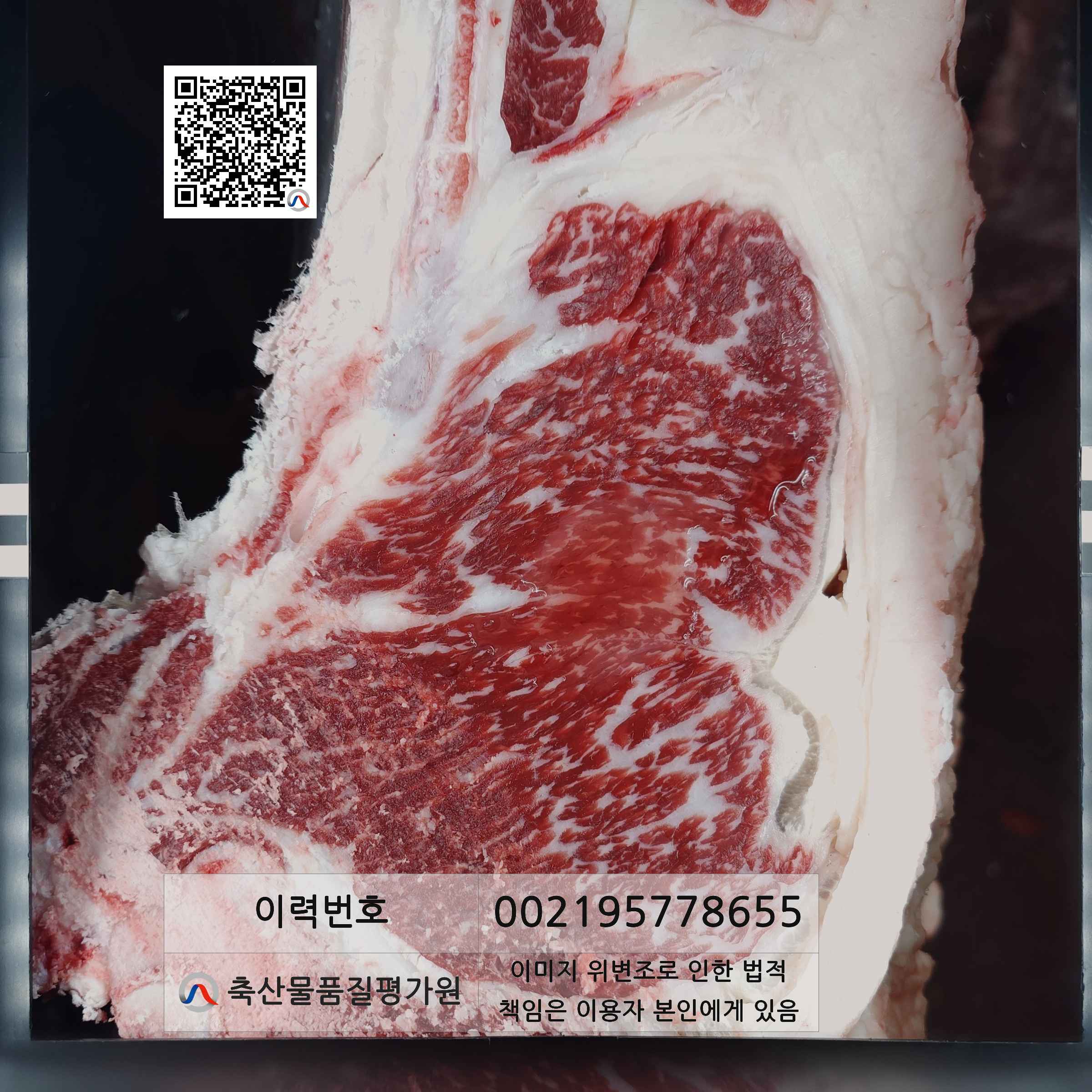 등심단면적 사진