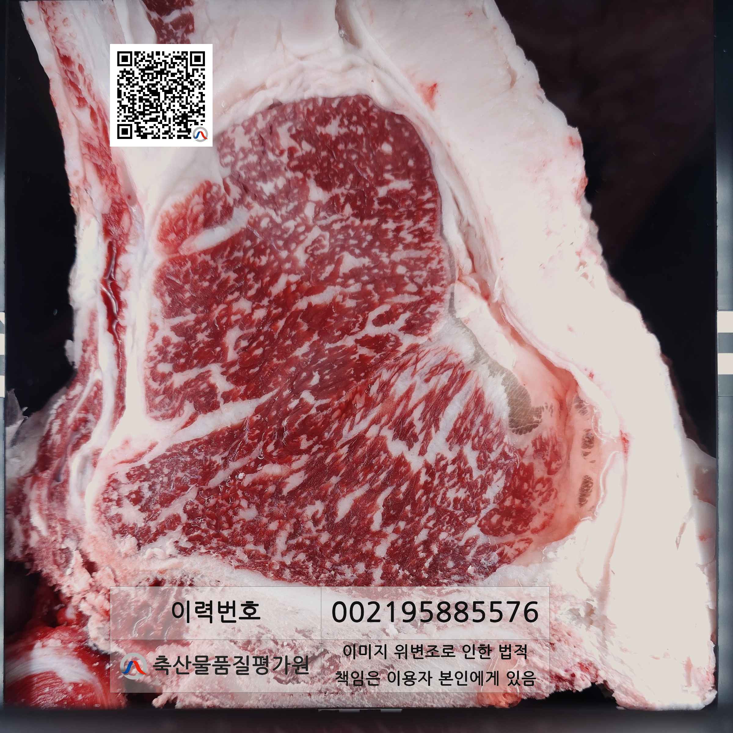 등심단면적 사진