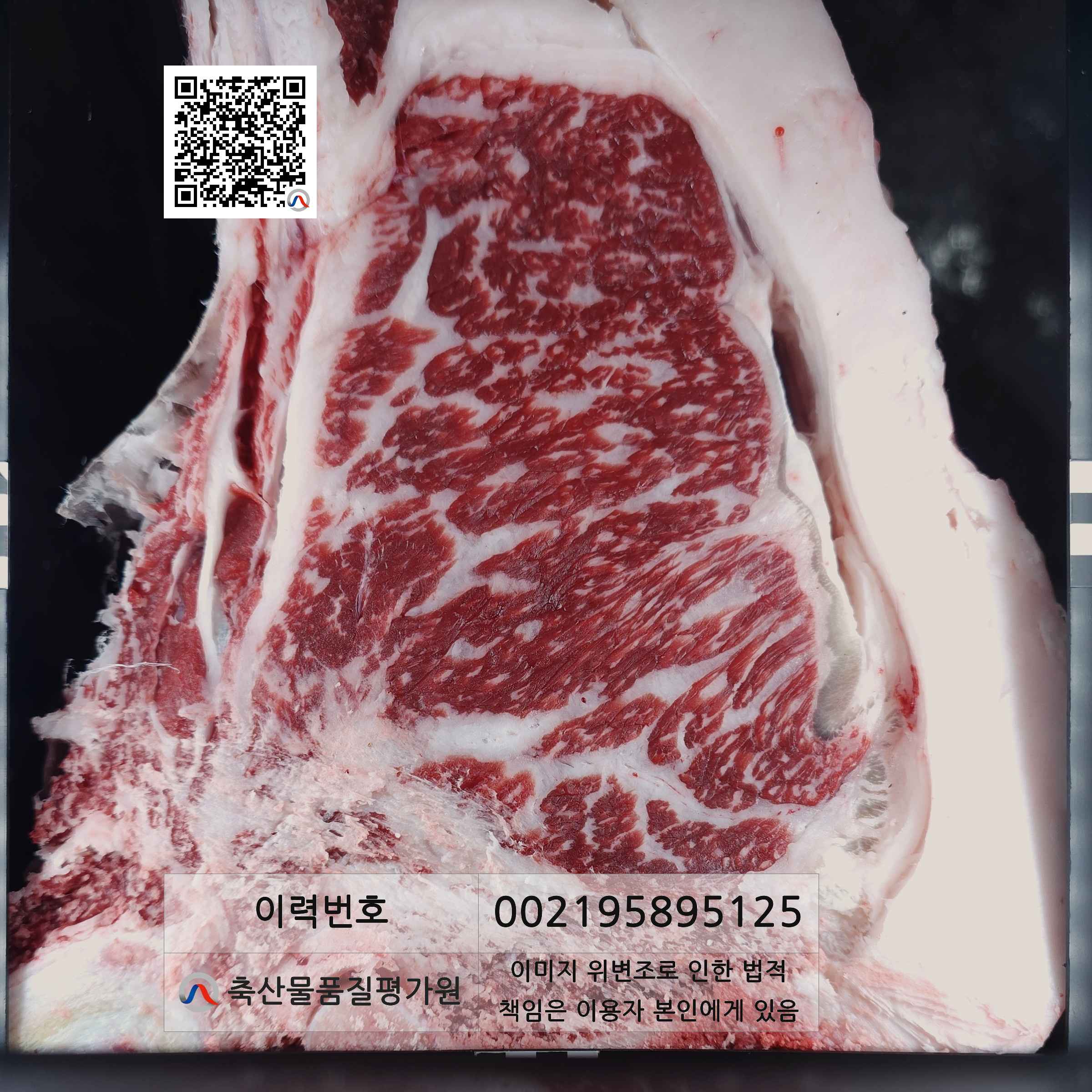 등심단면적 사진