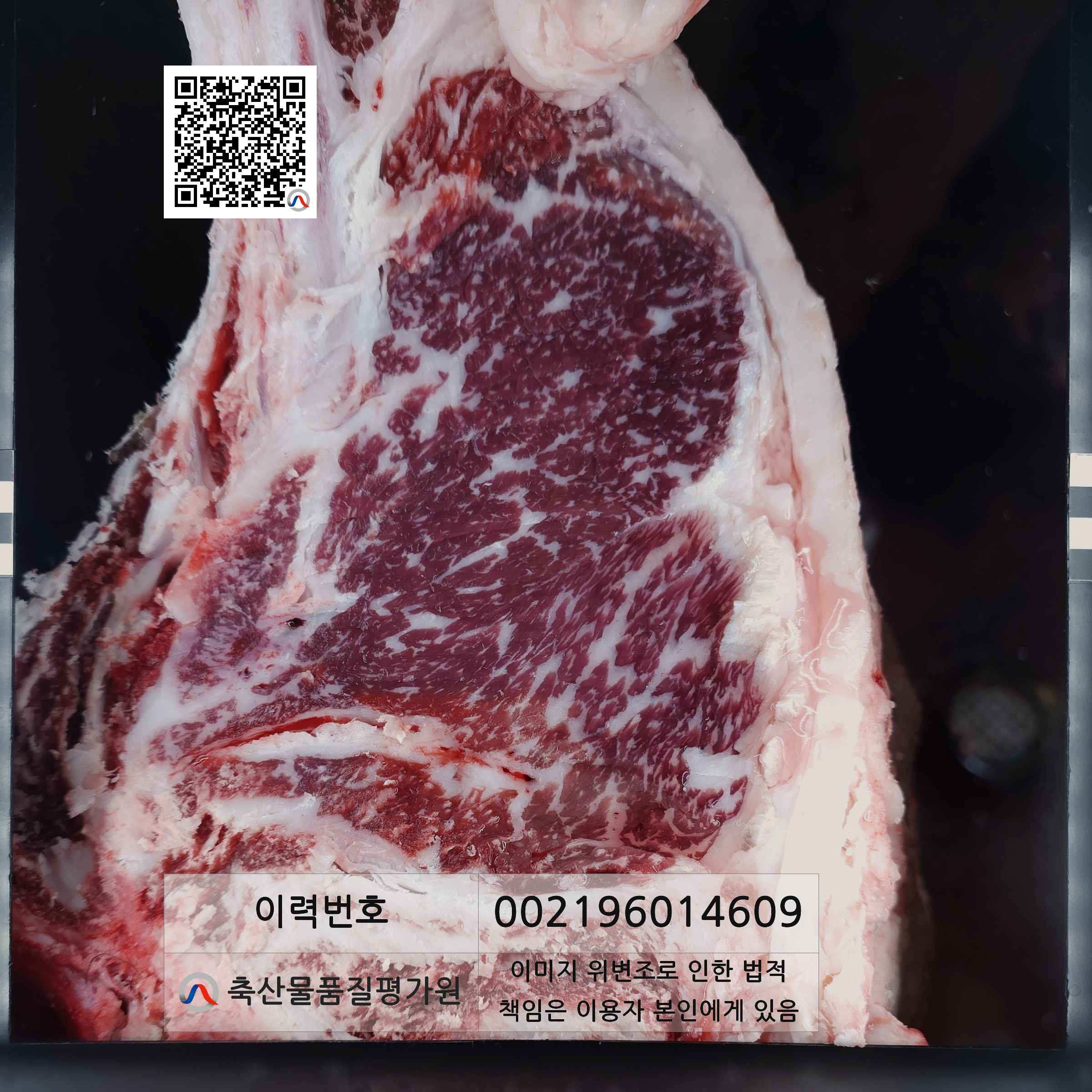 등심단면적 사진