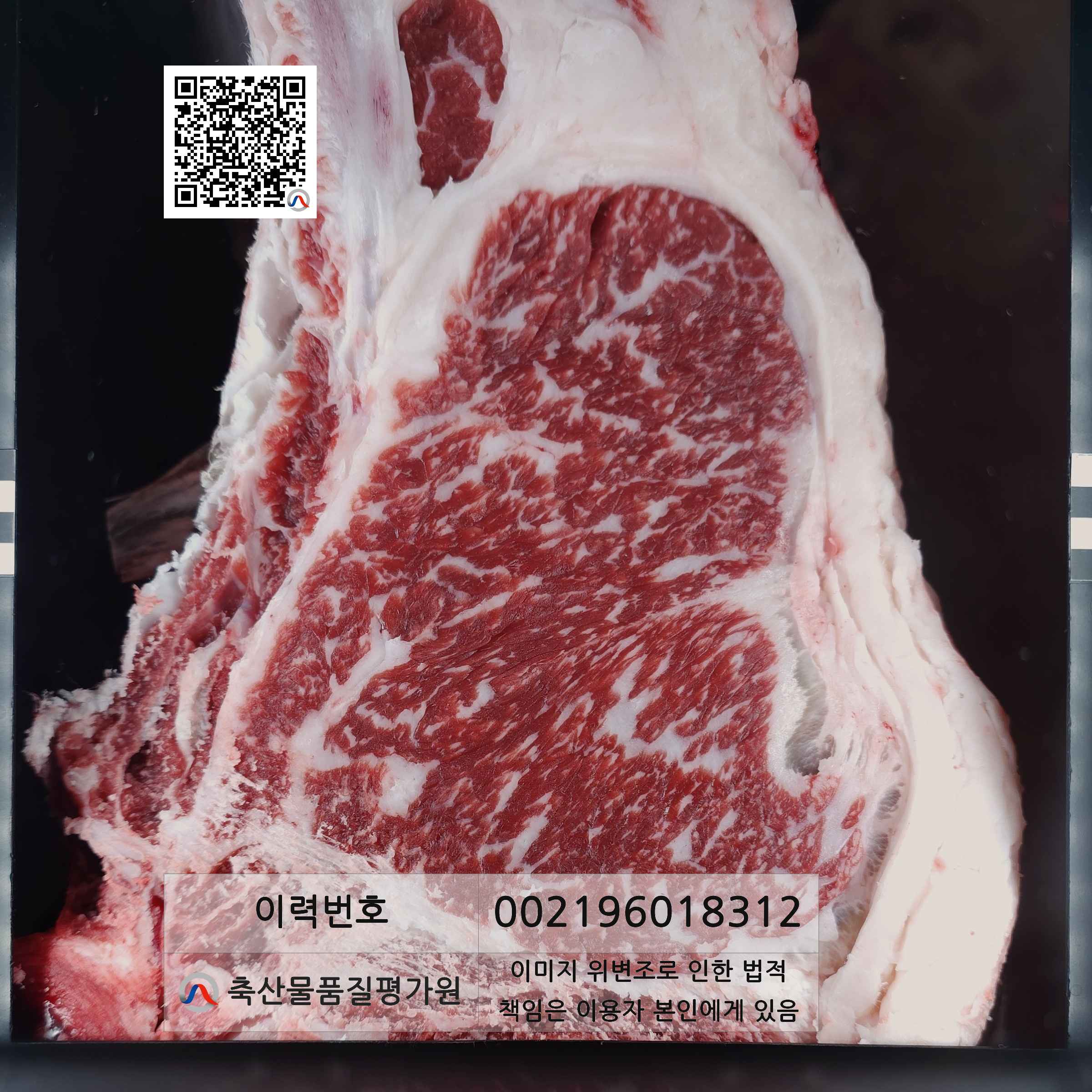 등심단면적 사진