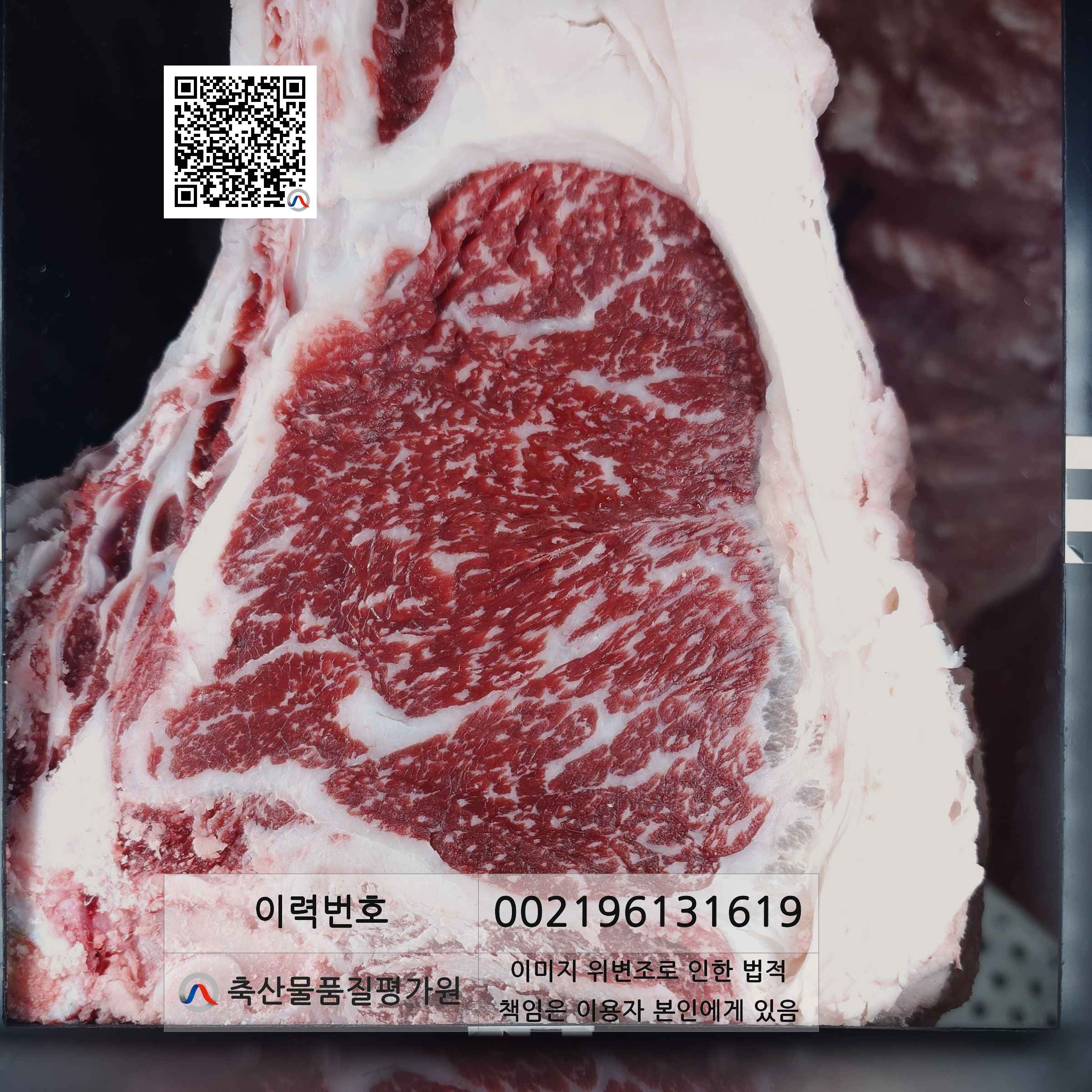 등심단면적 사진