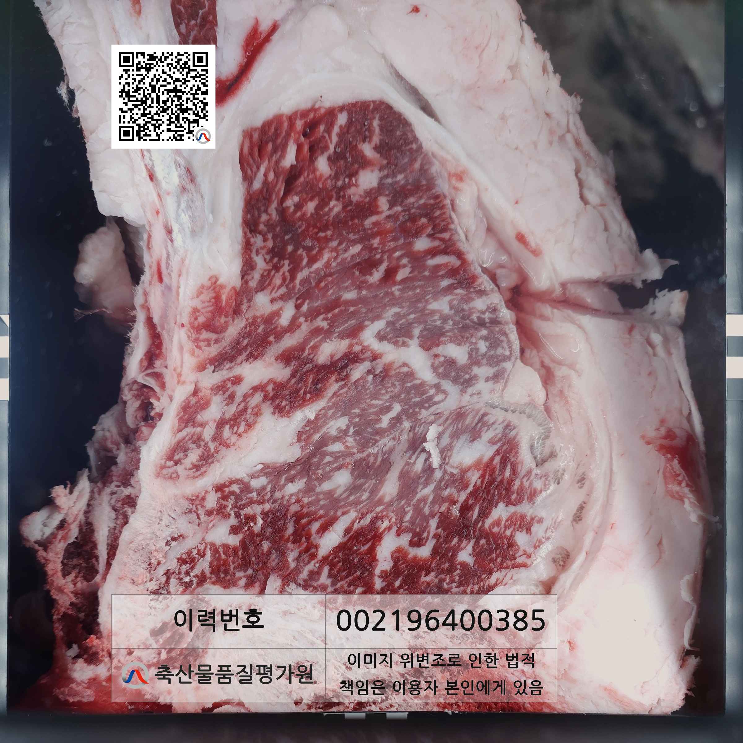 등심단면적 사진