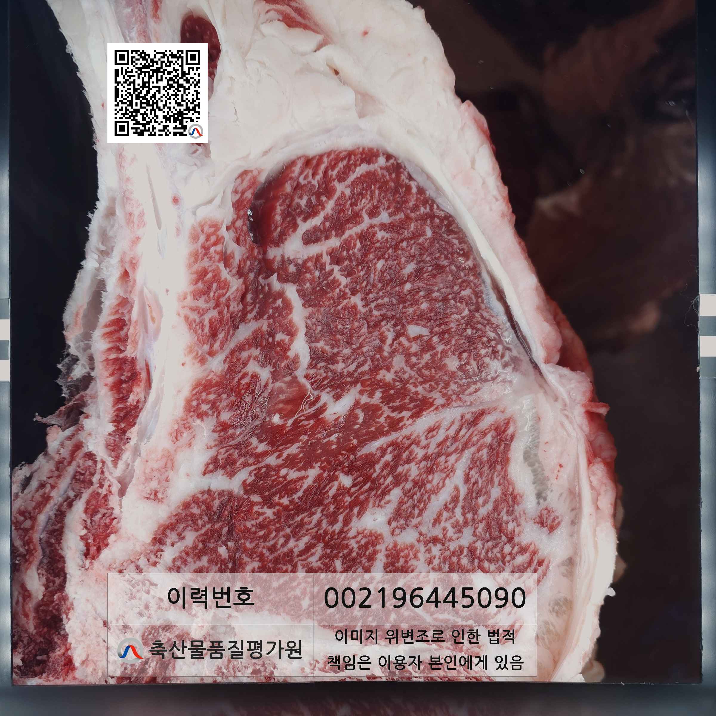 등심단면적 사진