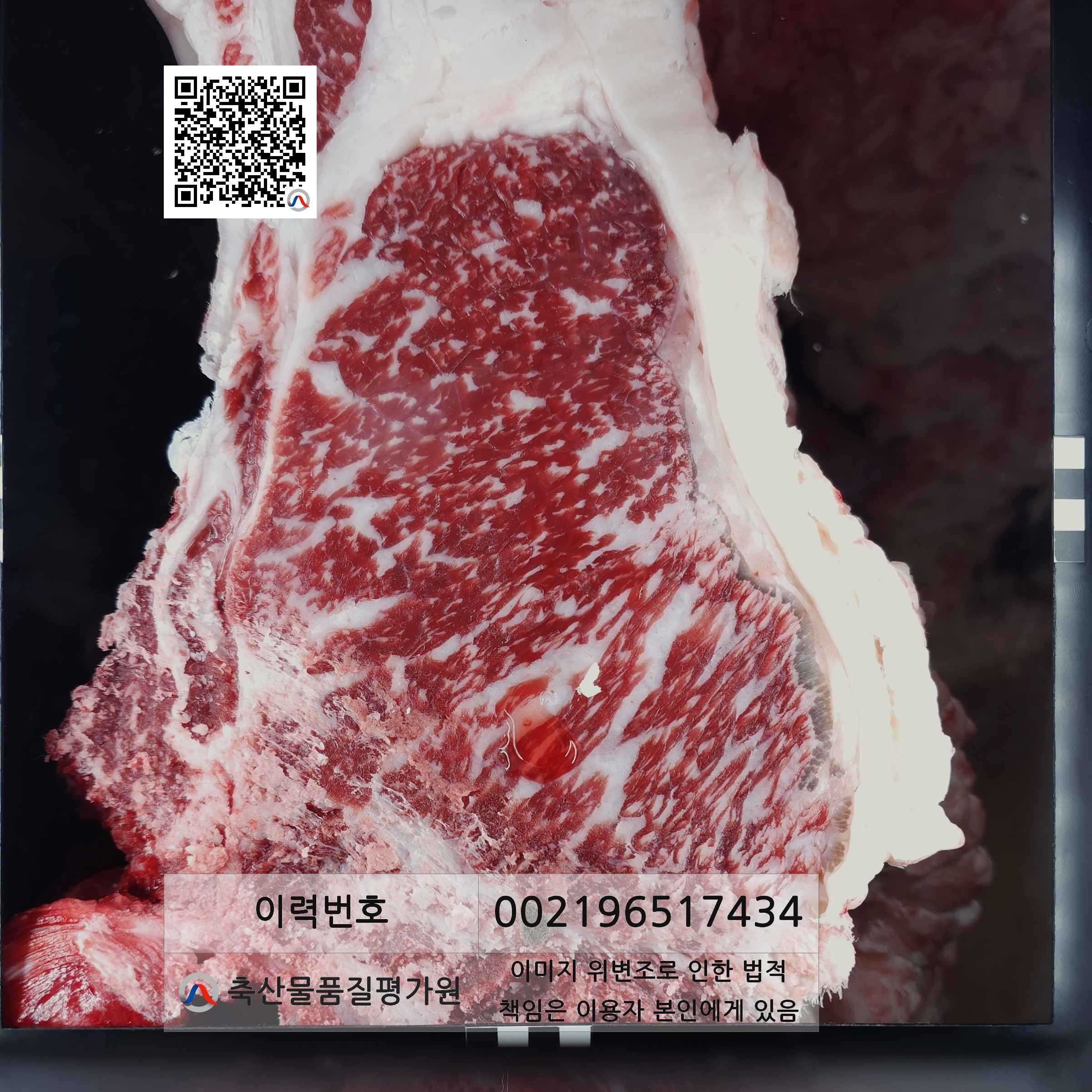등심단면적 사진