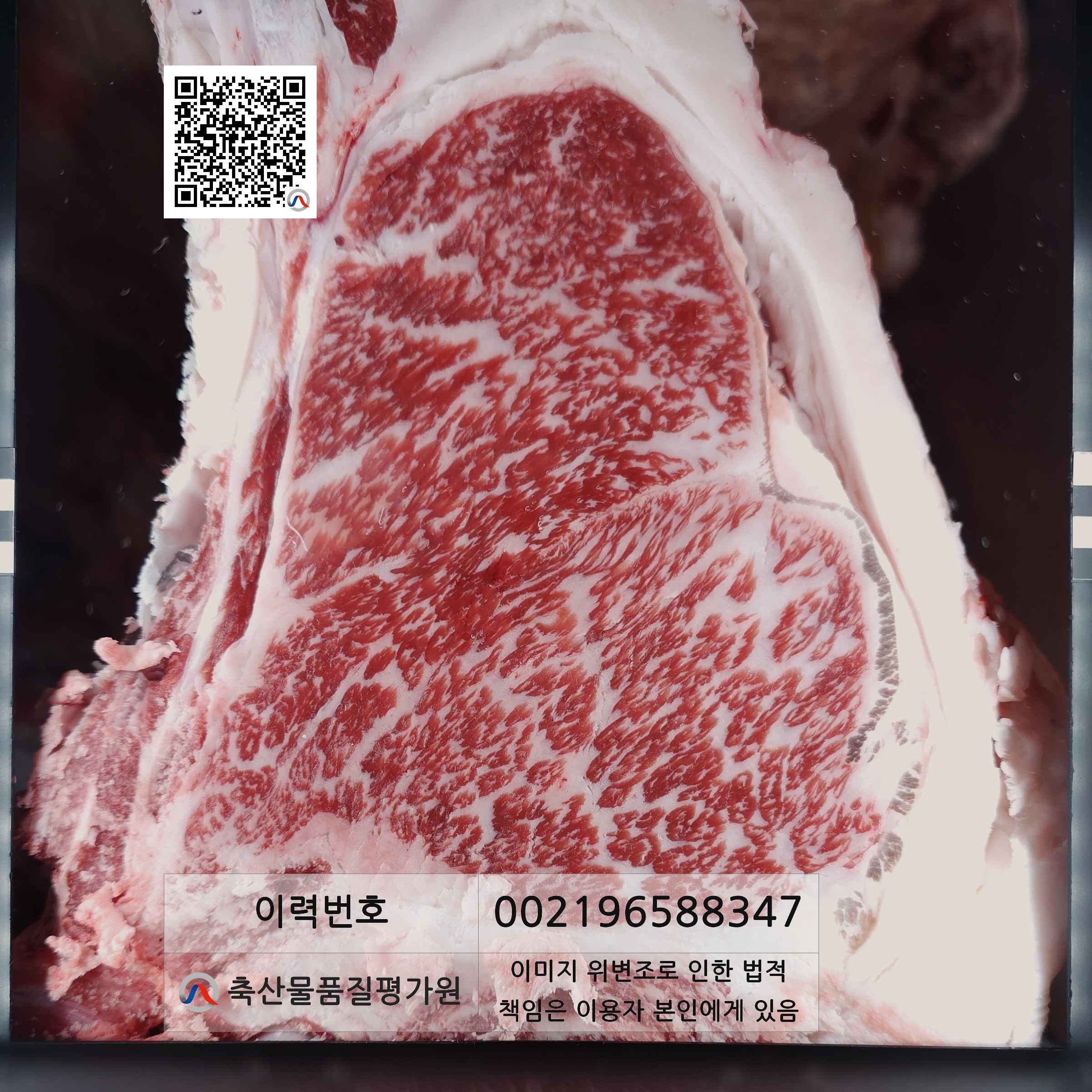 등심단면적 사진