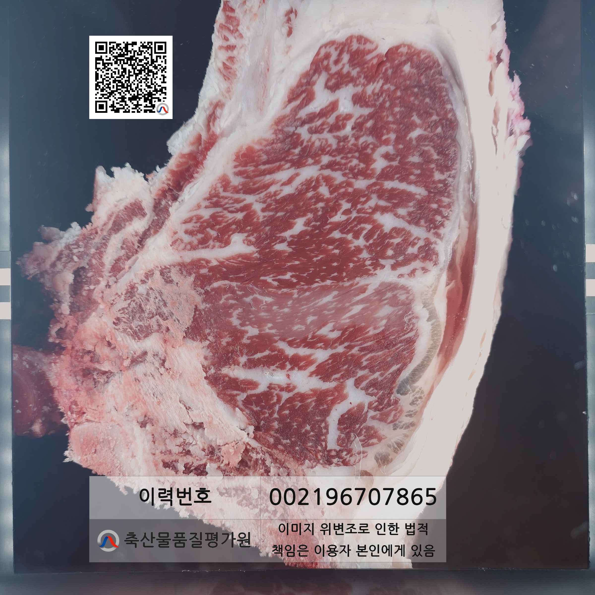 등심단면적 사진