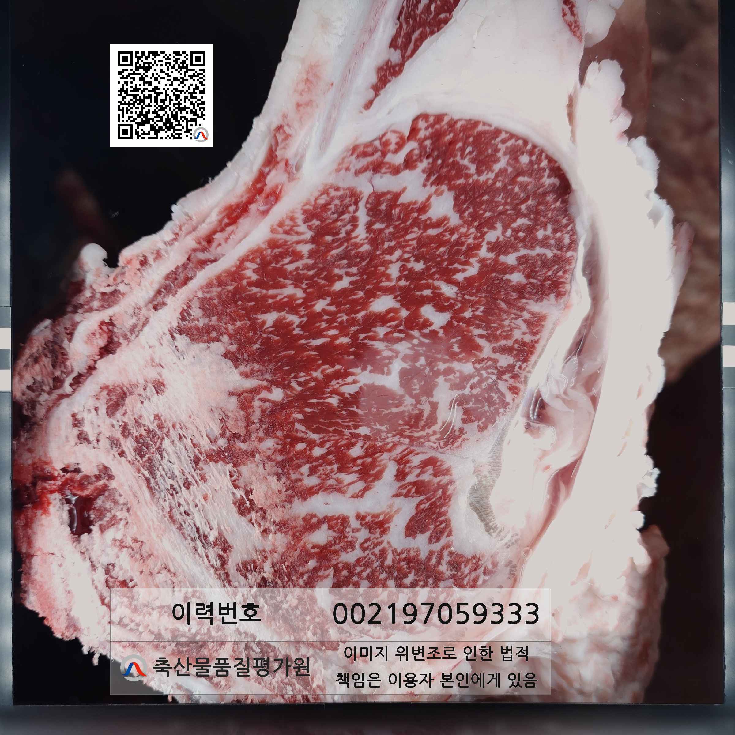 등심단면적 사진