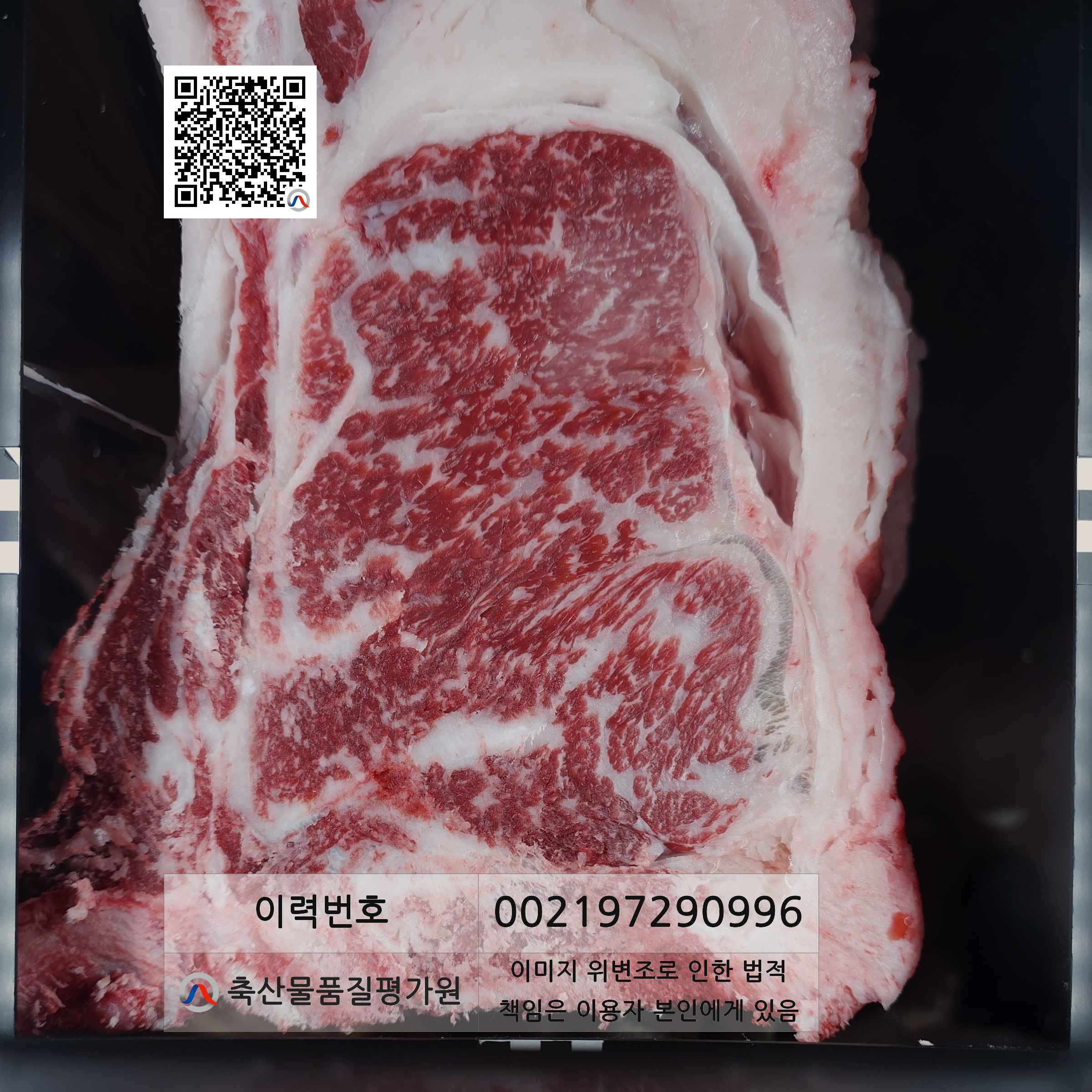 등심단면적 사진