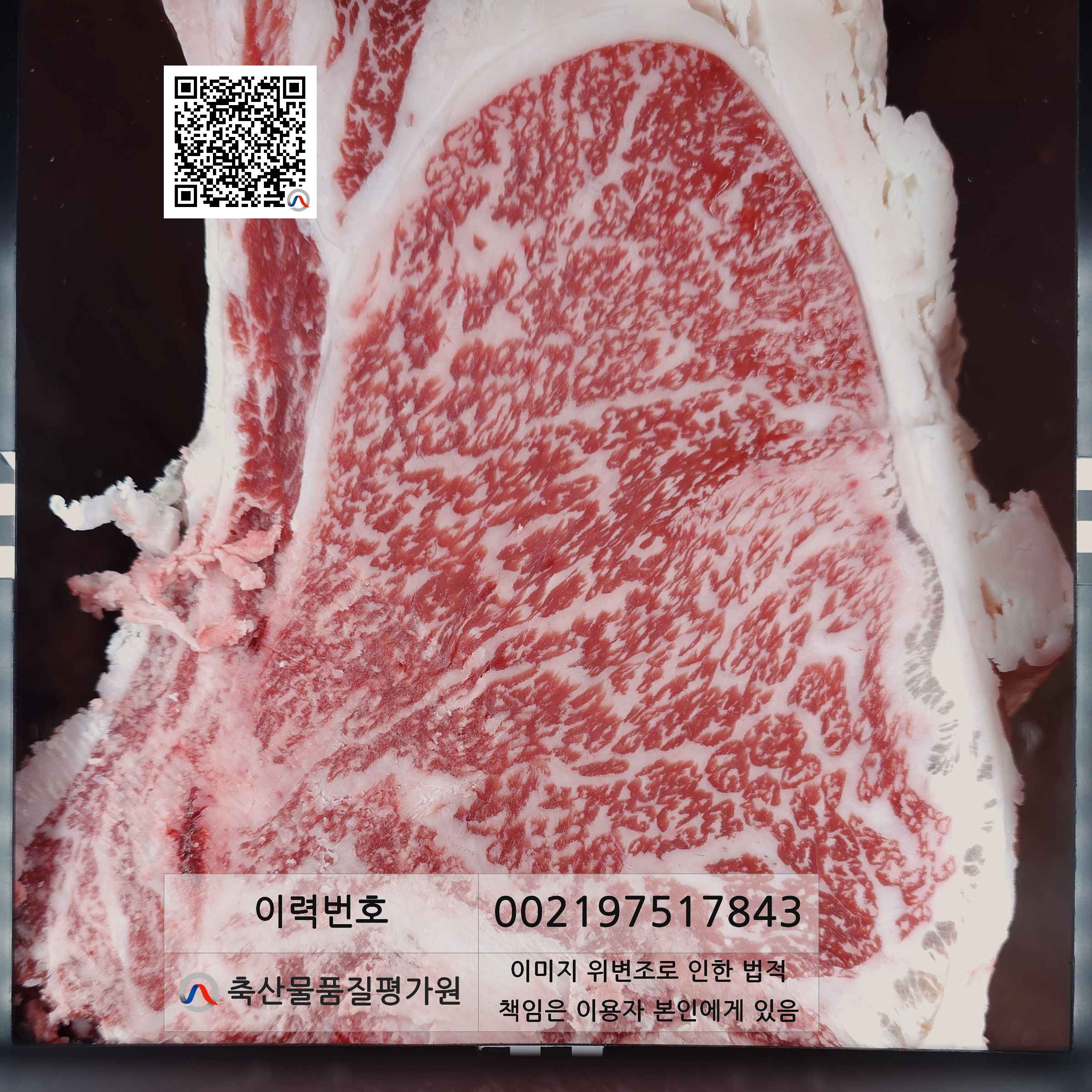 등심단면적 사진