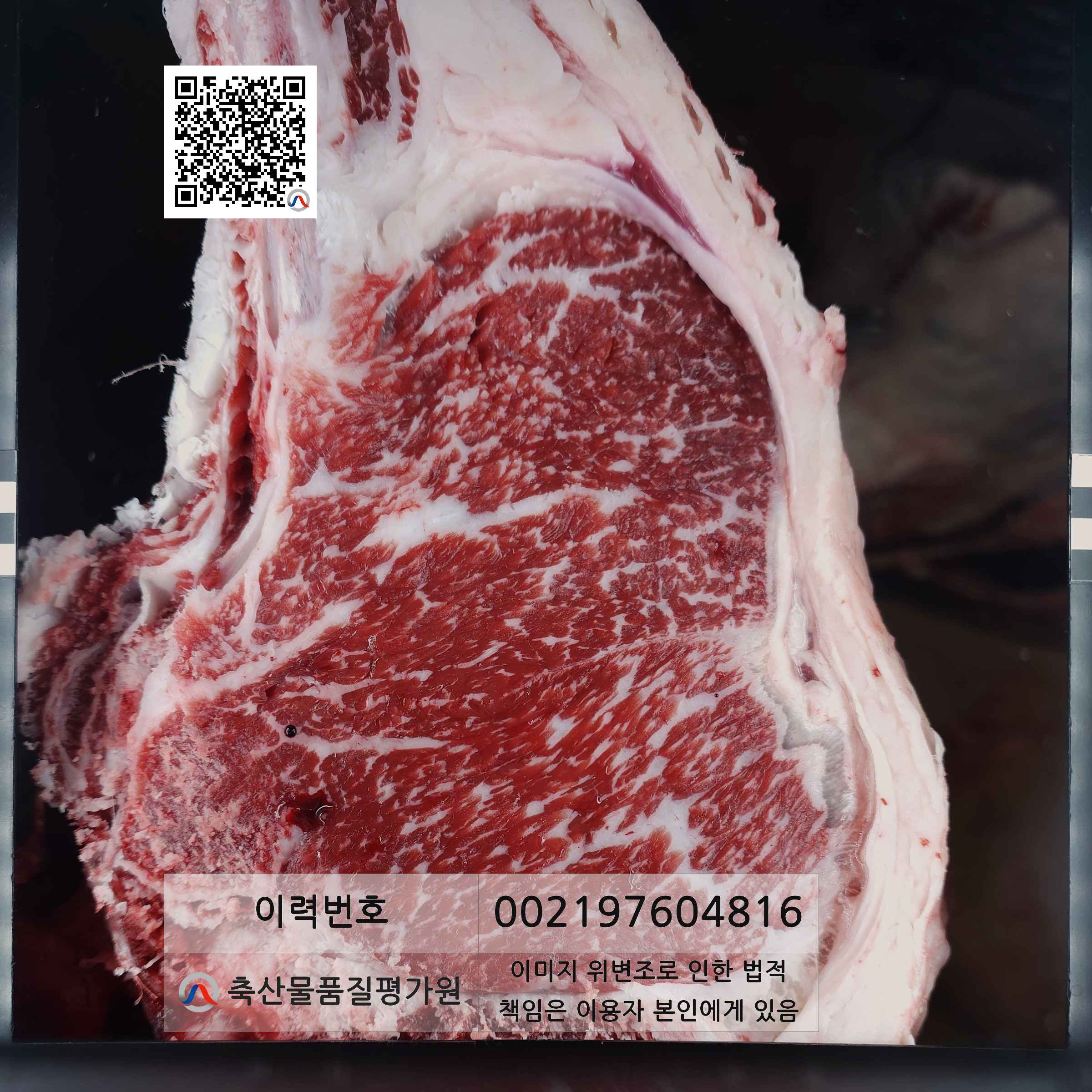 등심단면적 사진