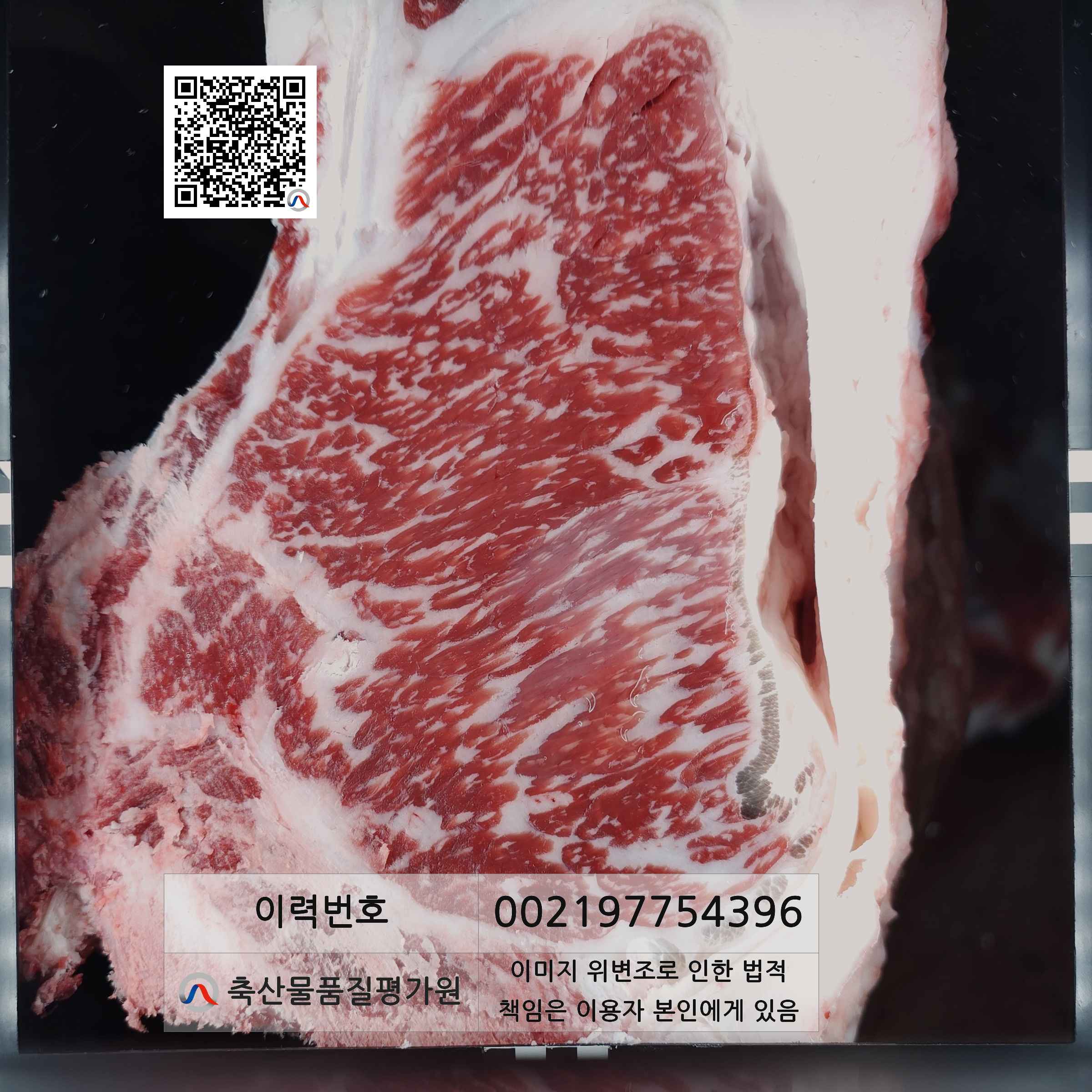 등심단면적 사진