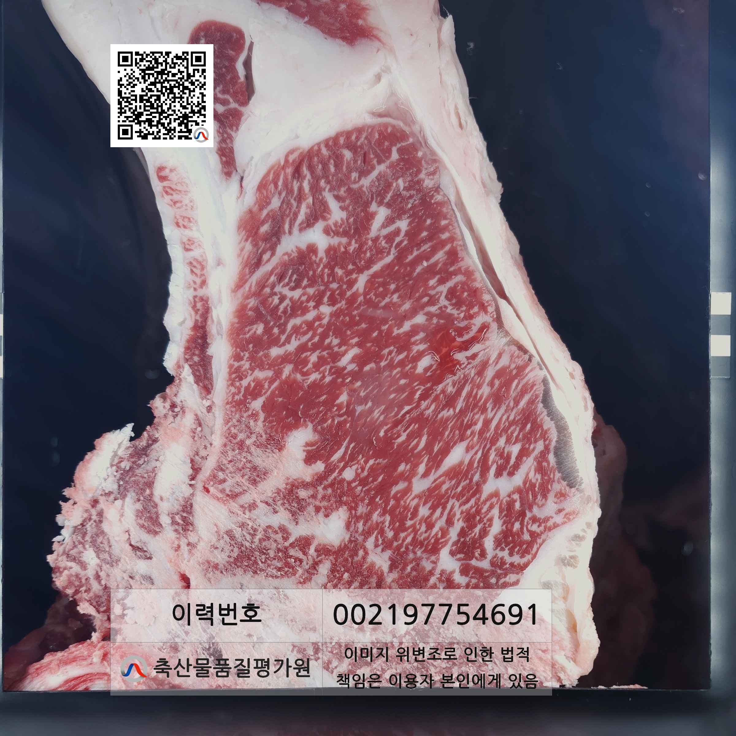 등심단면적 사진