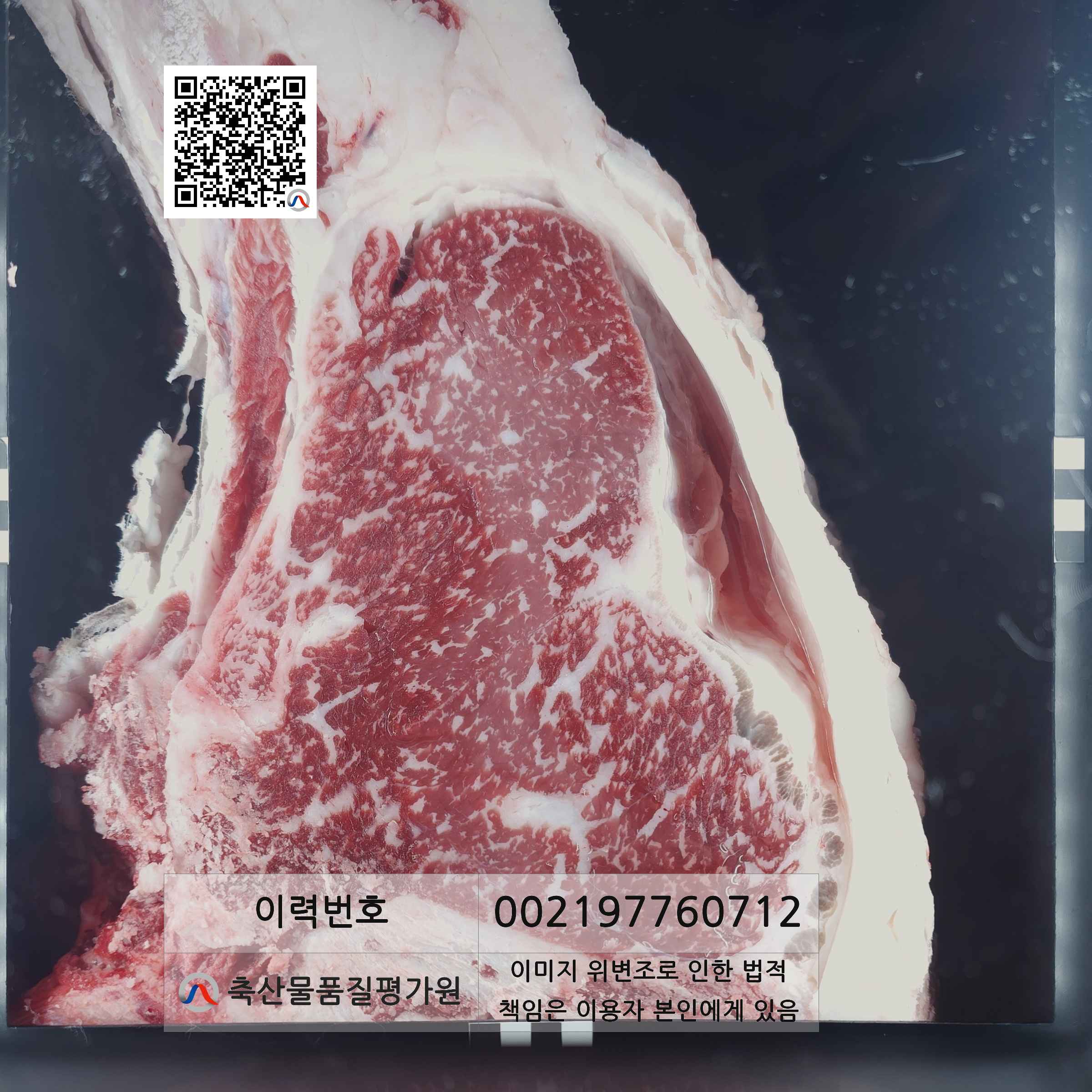 등심단면적 사진