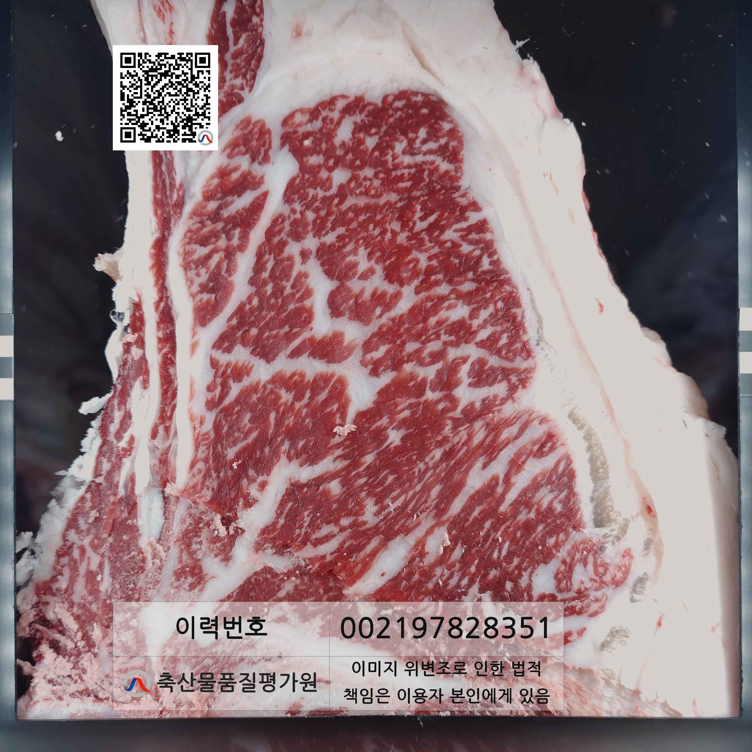 등심단면적 사진