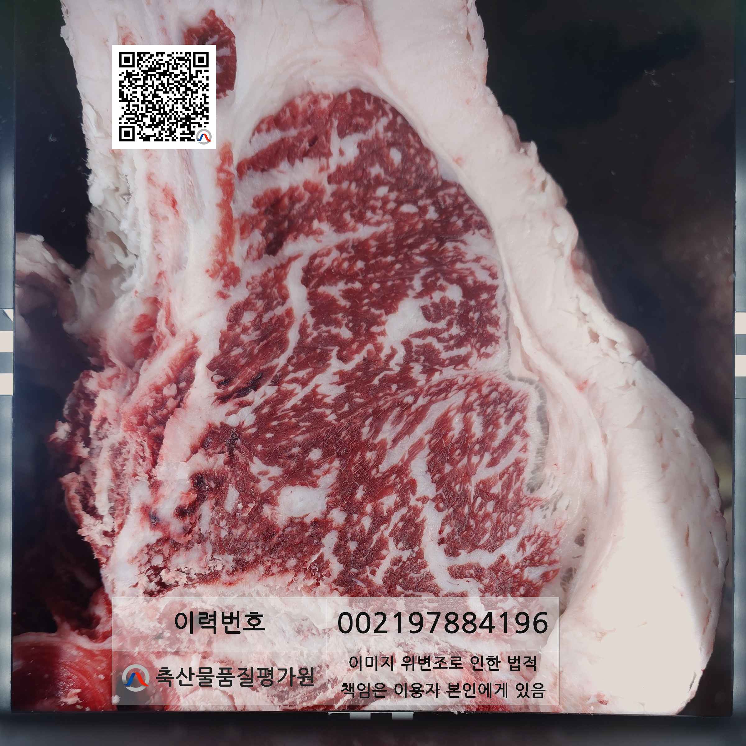 등심단면적 사진