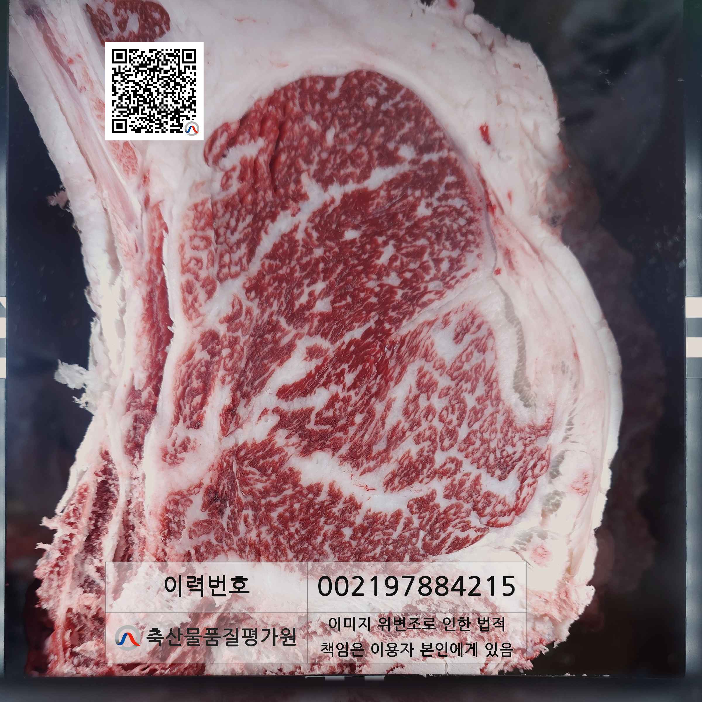 등심단면적 사진