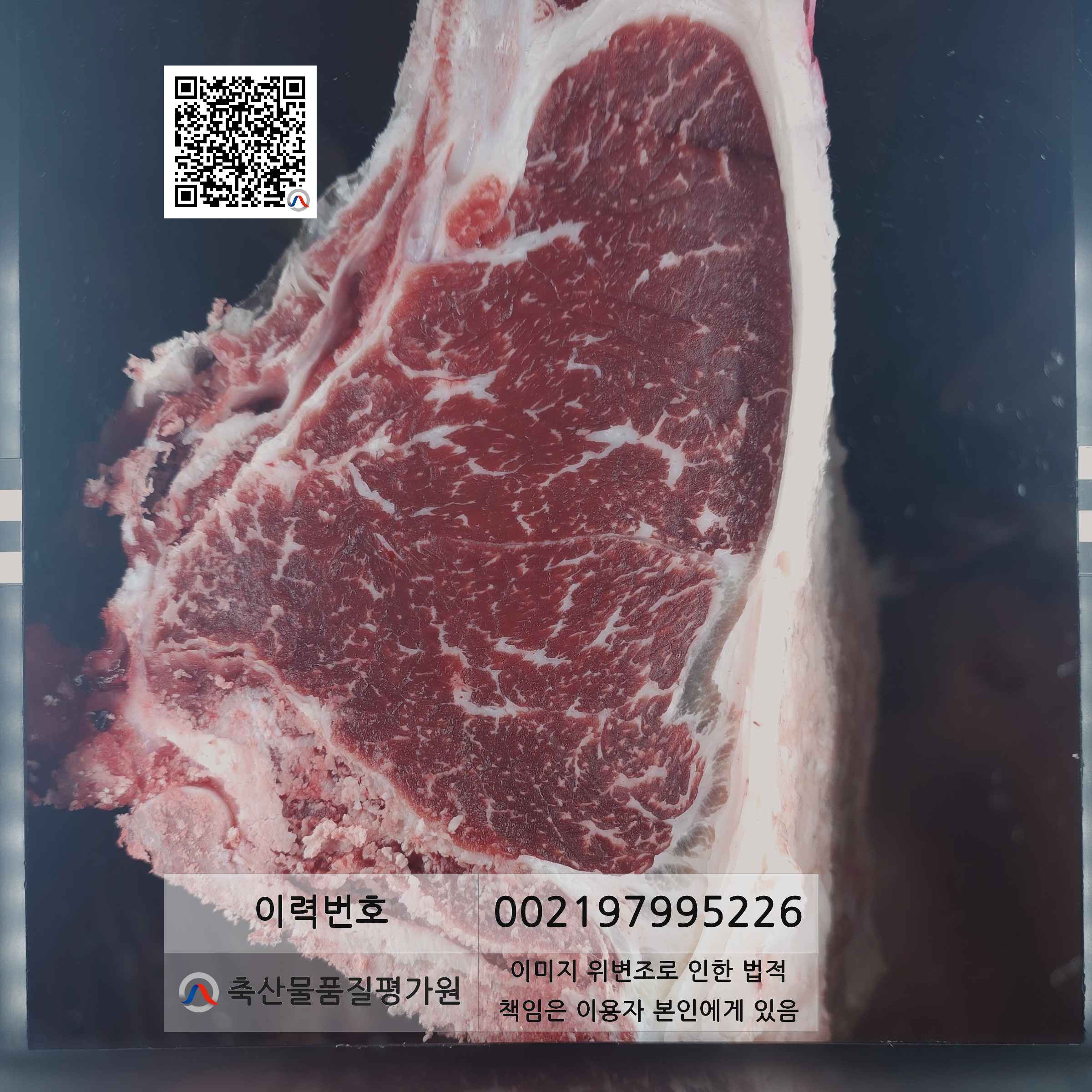 등심단면적 사진
