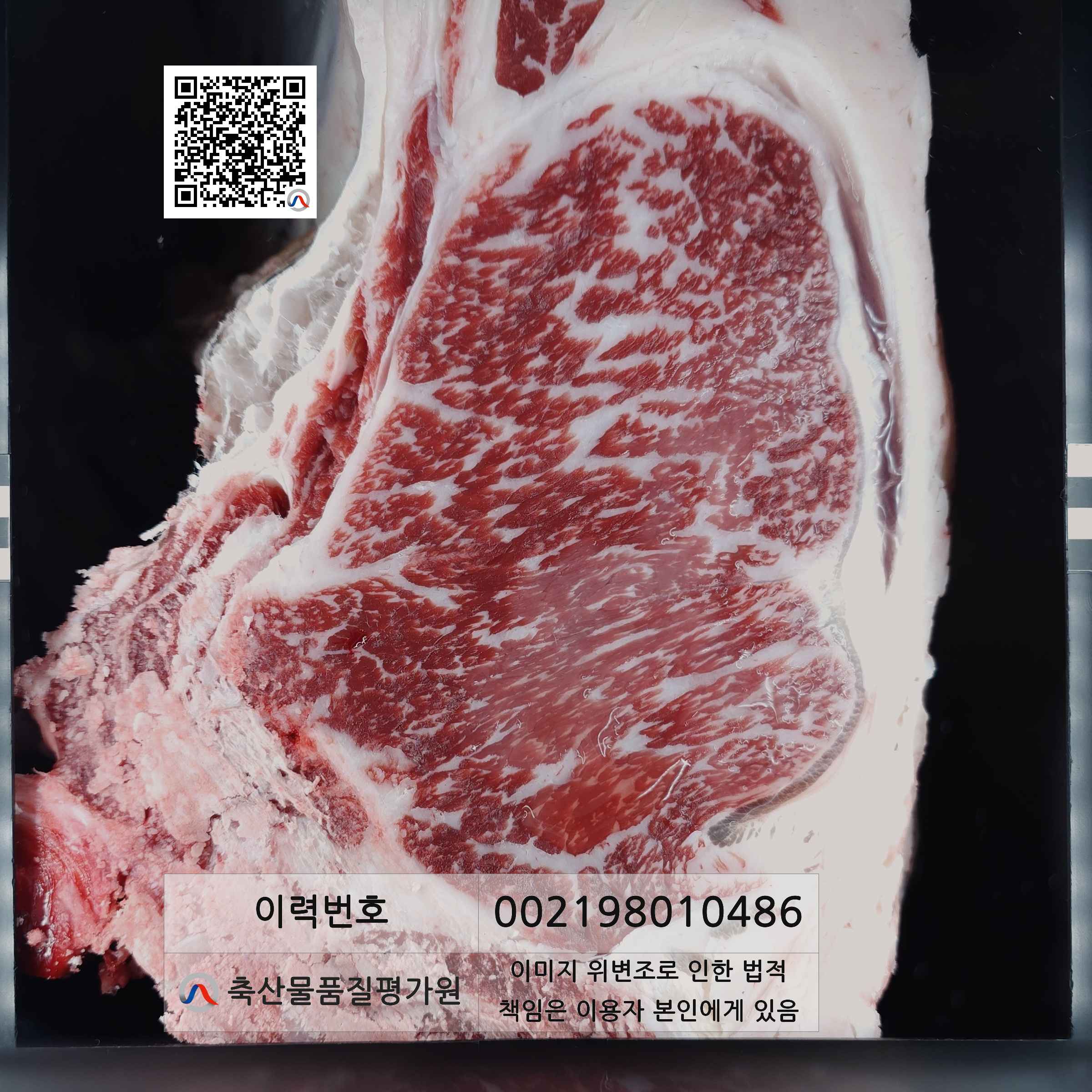 등심단면적 사진
