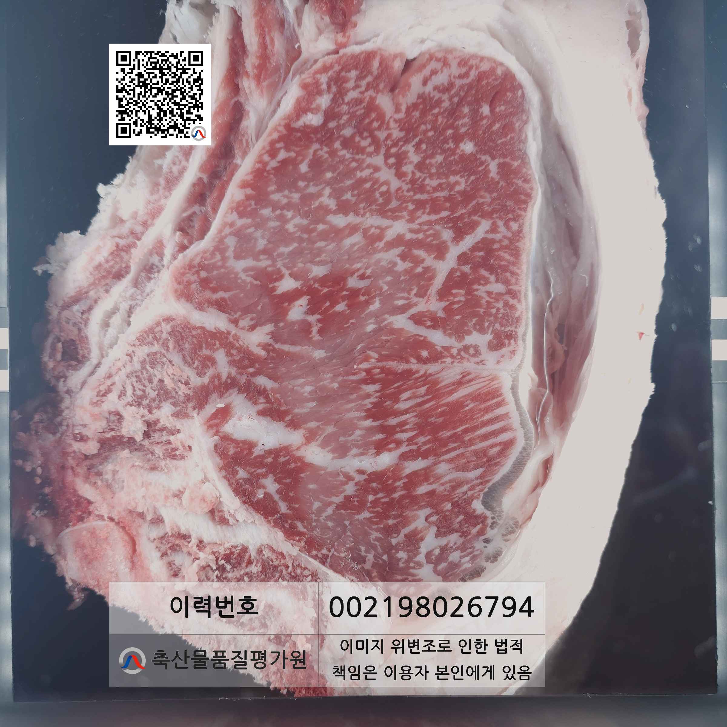 등심단면적 사진