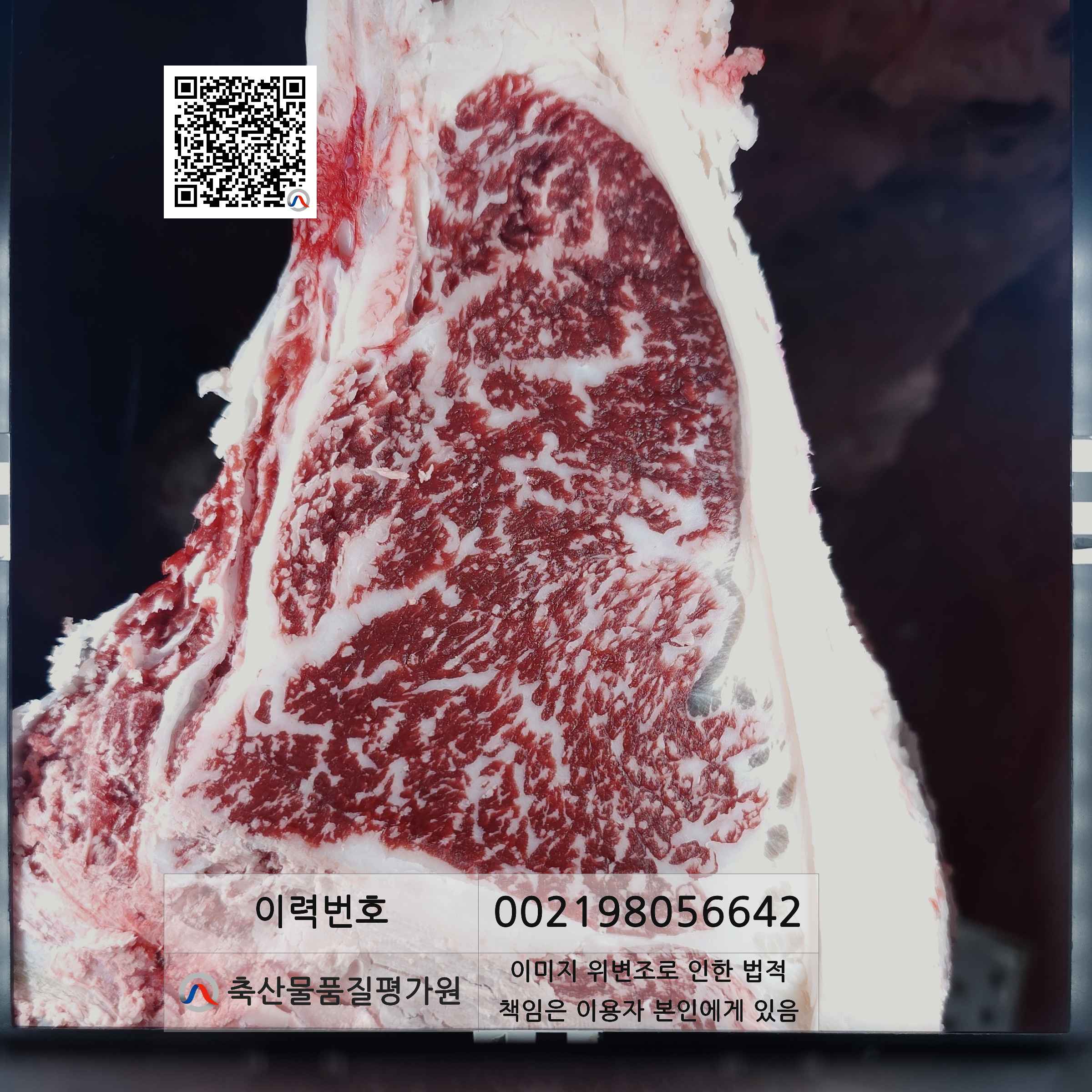 등심단면적 사진