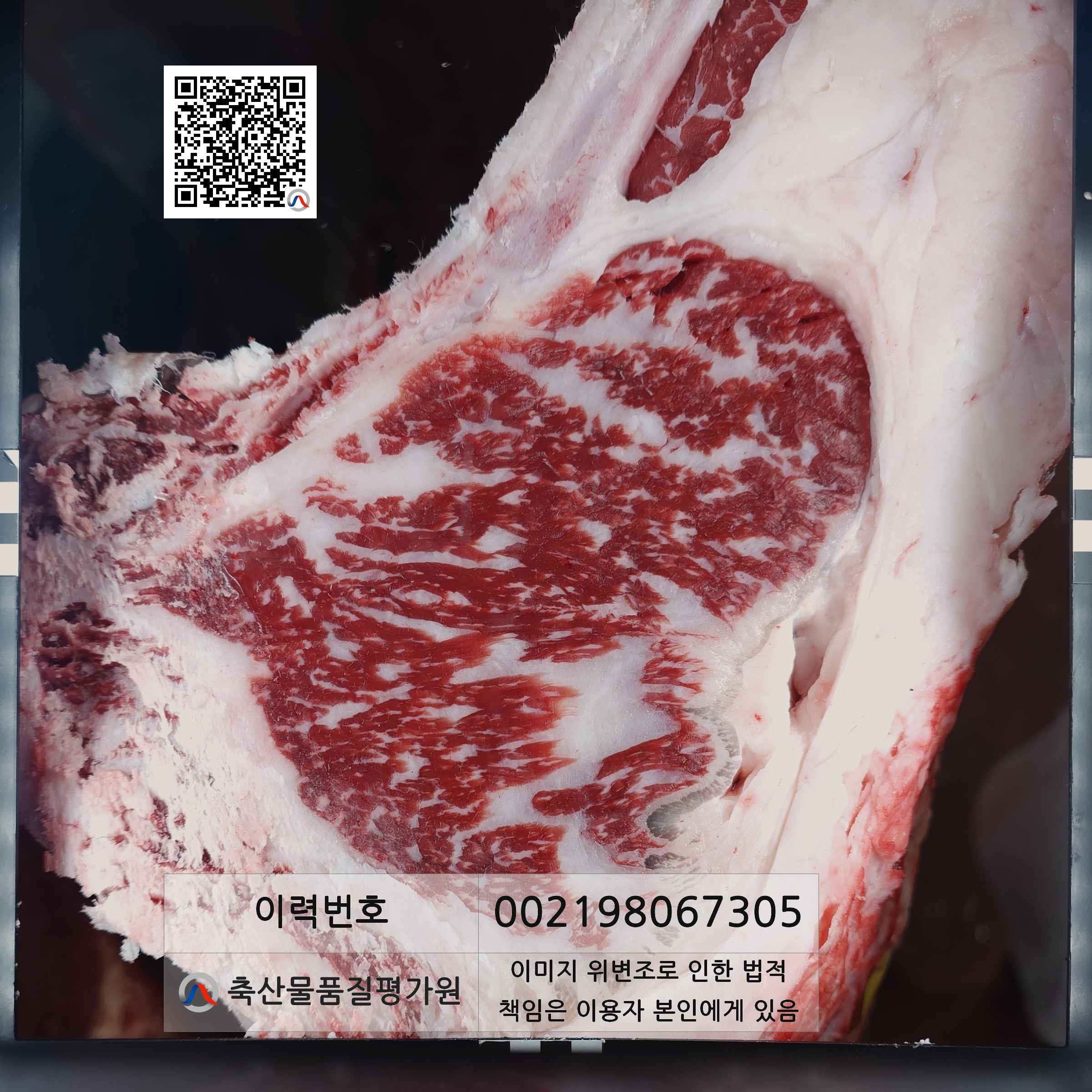 등심단면적 사진