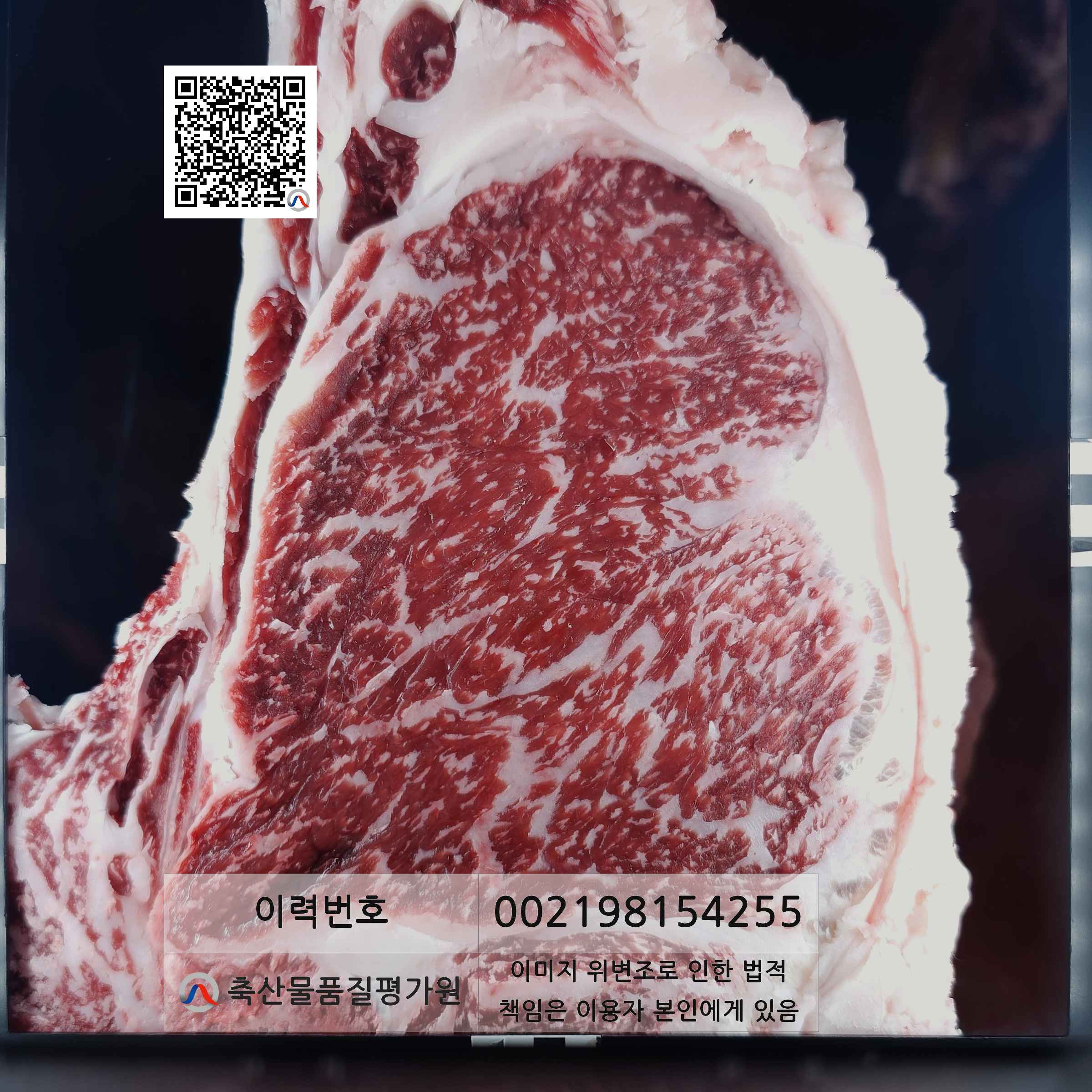 등심단면적 사진