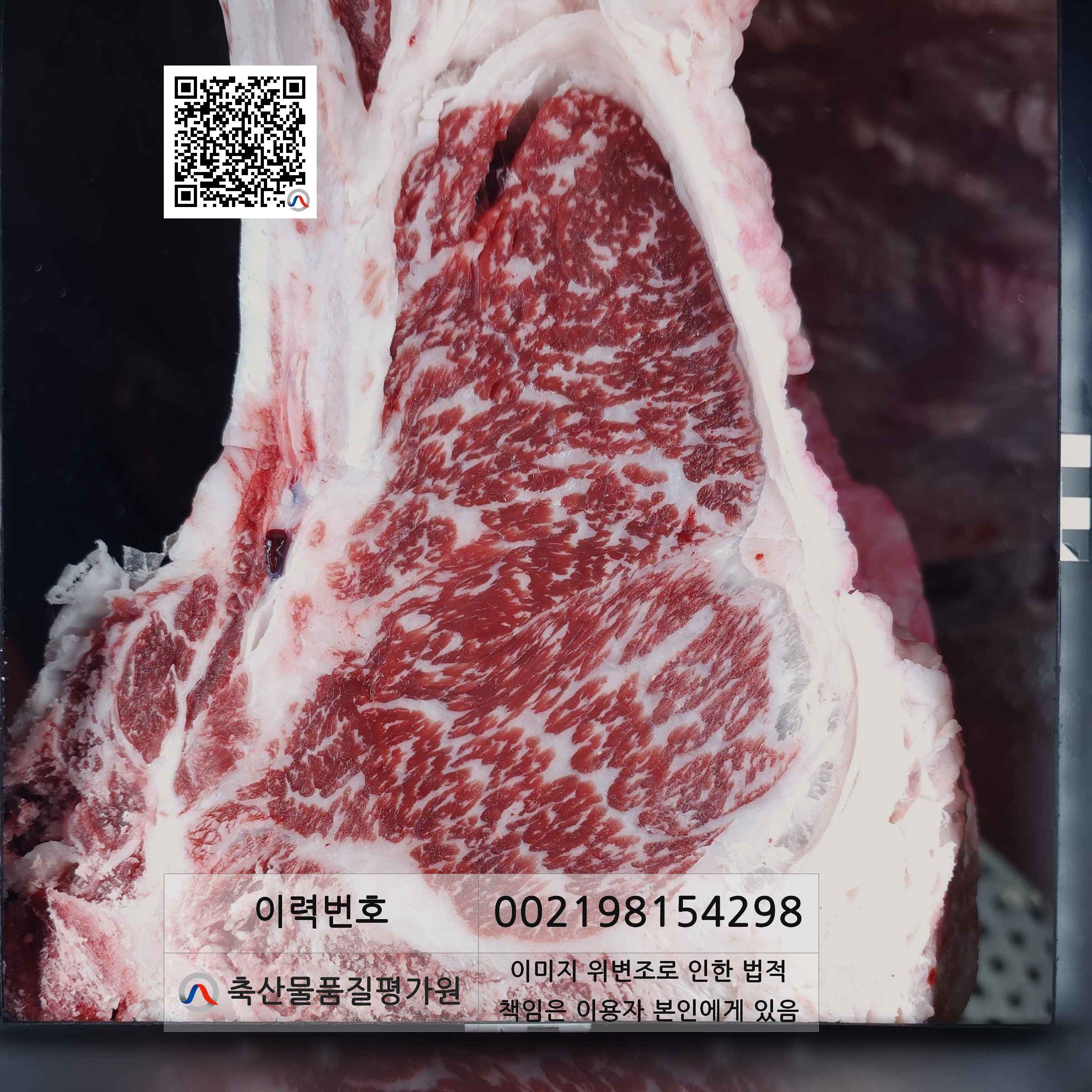 등심단면적 사진
