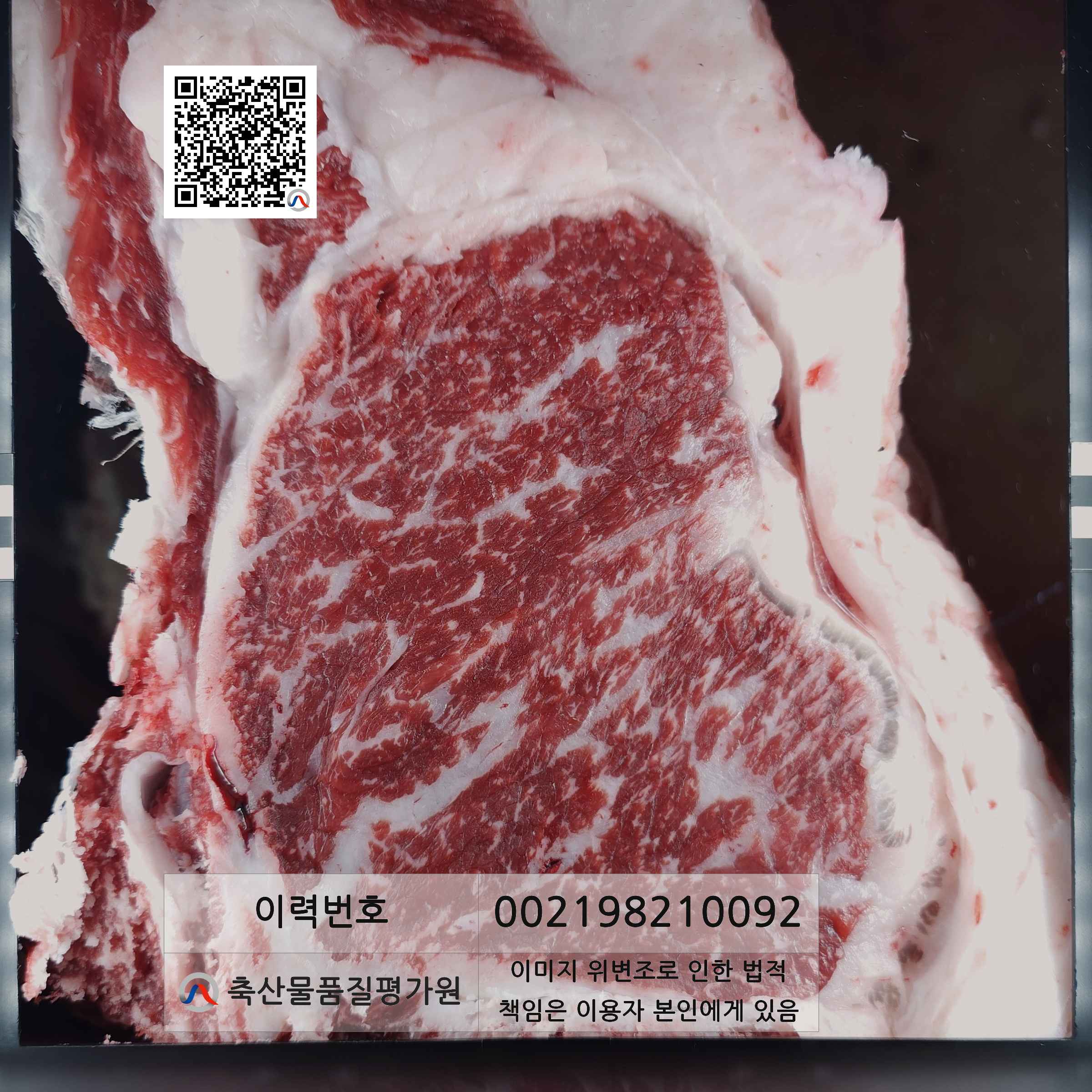 등심단면적 사진
