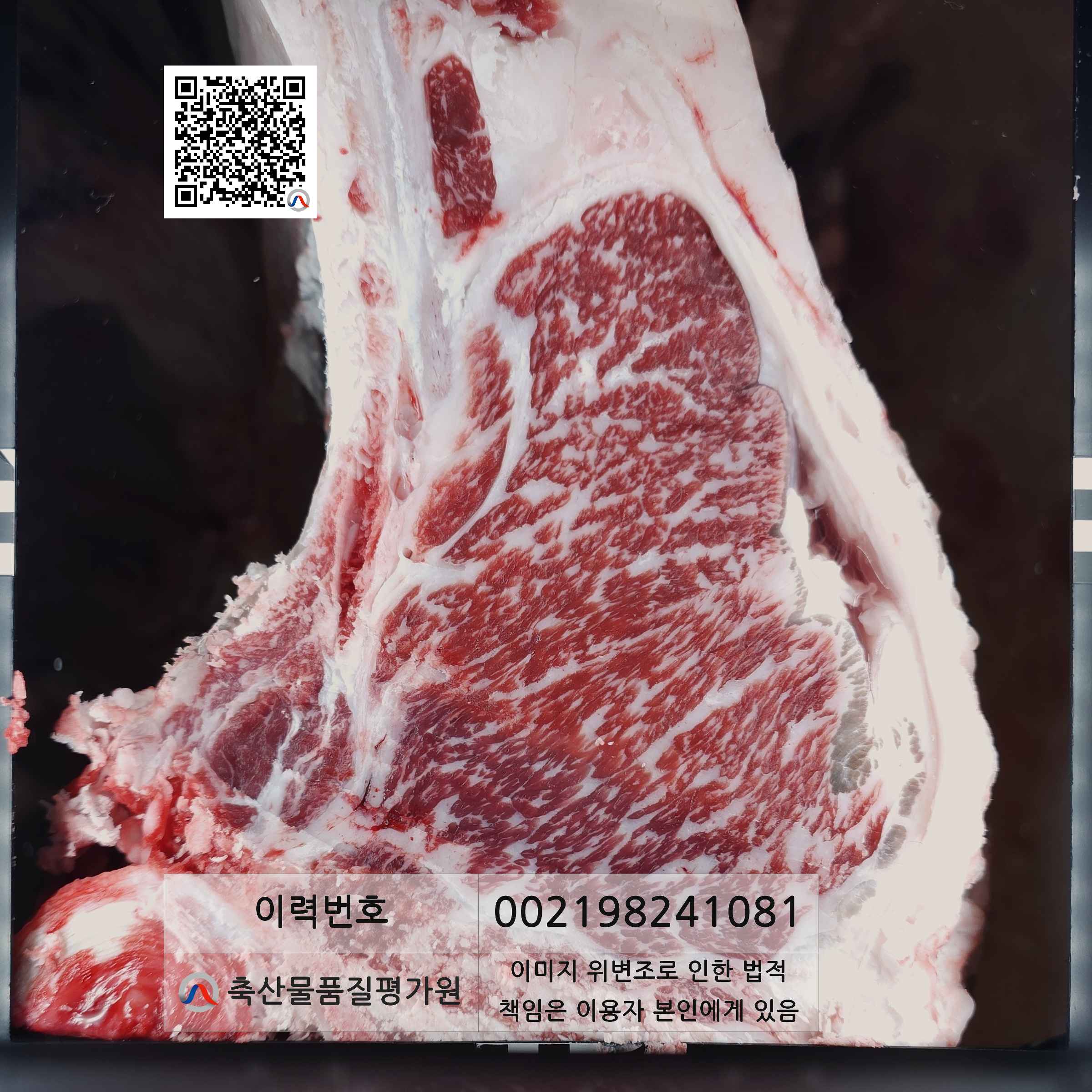 등심단면적 사진