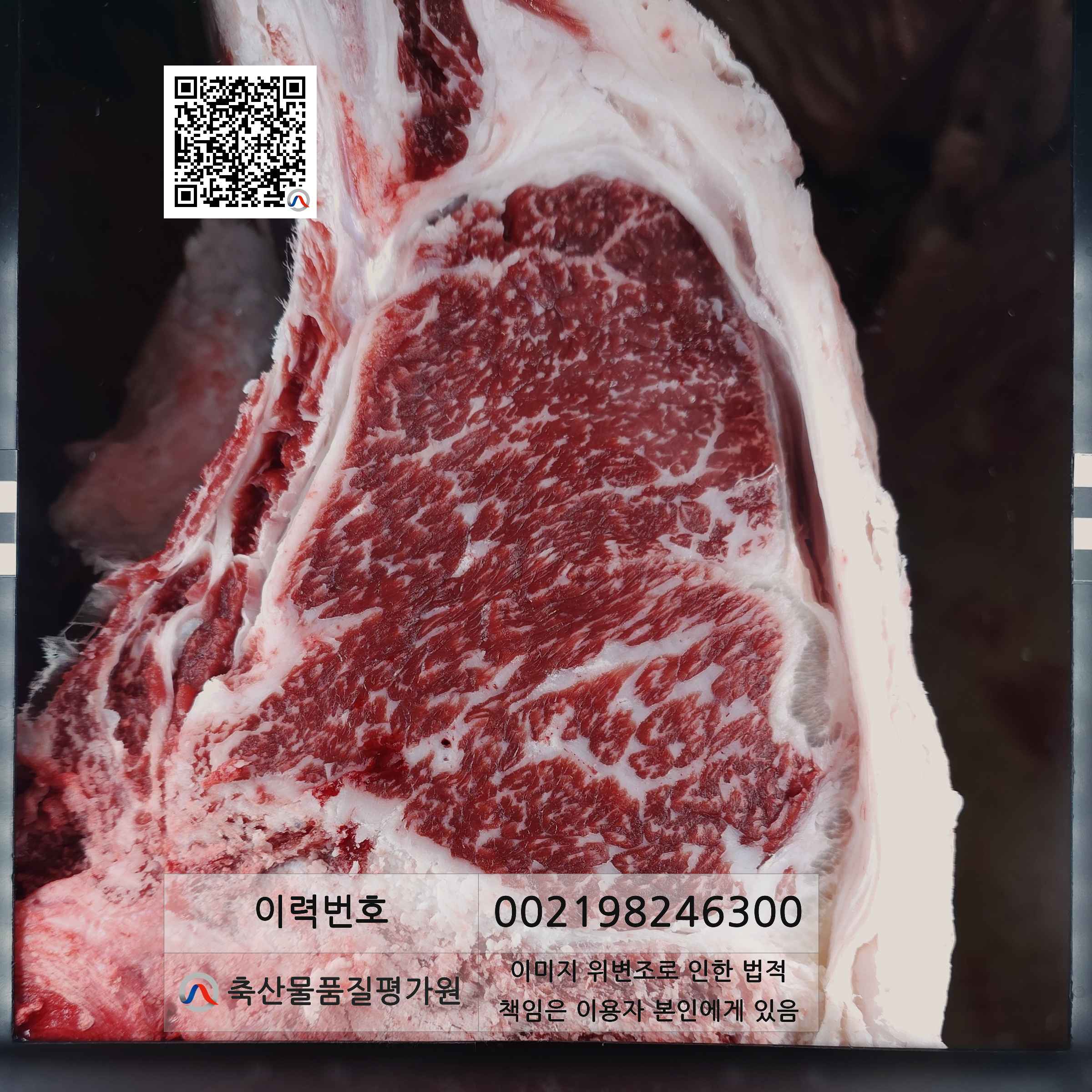 등심단면적 사진